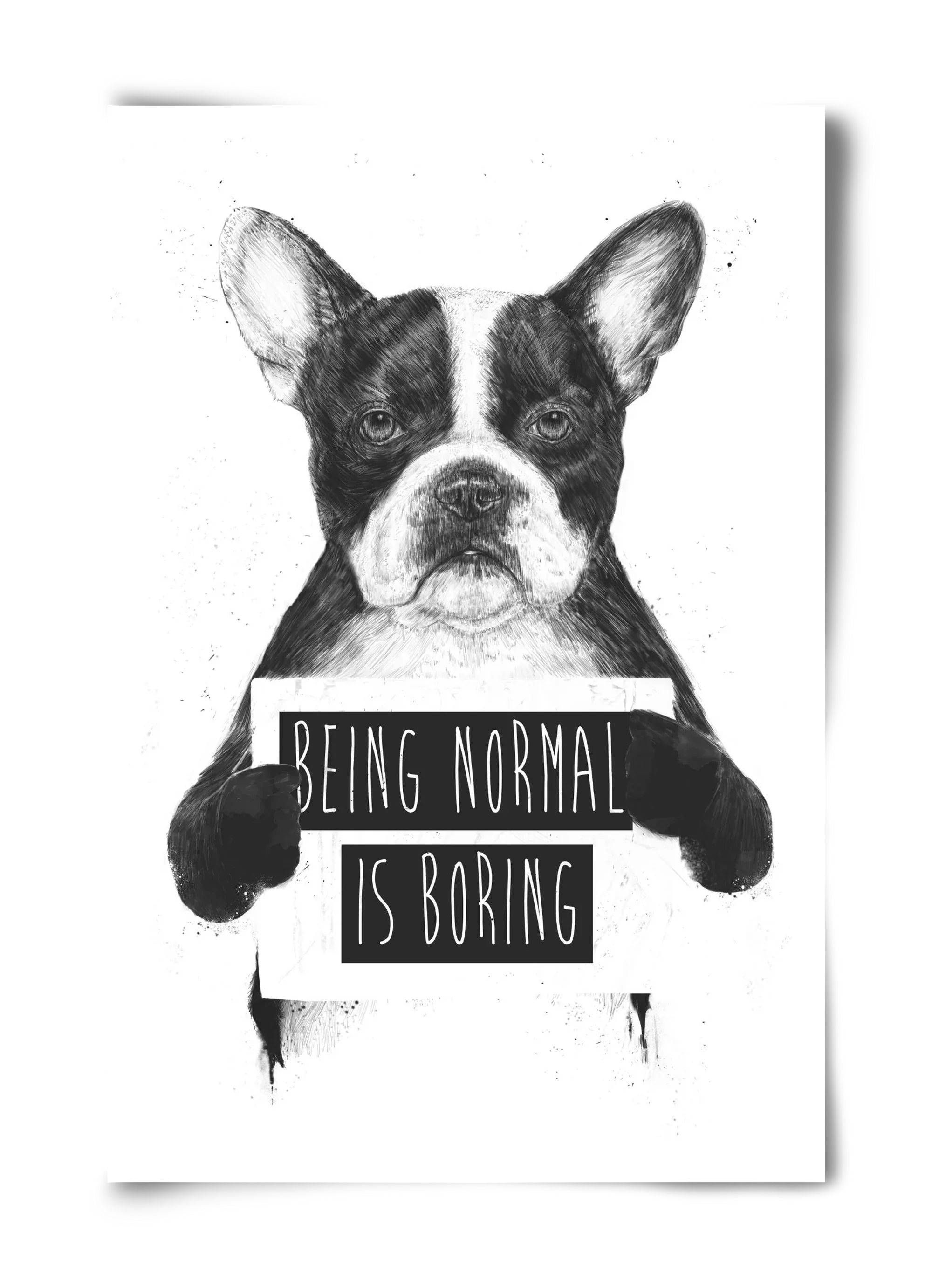 Being normal is boring - artbridge