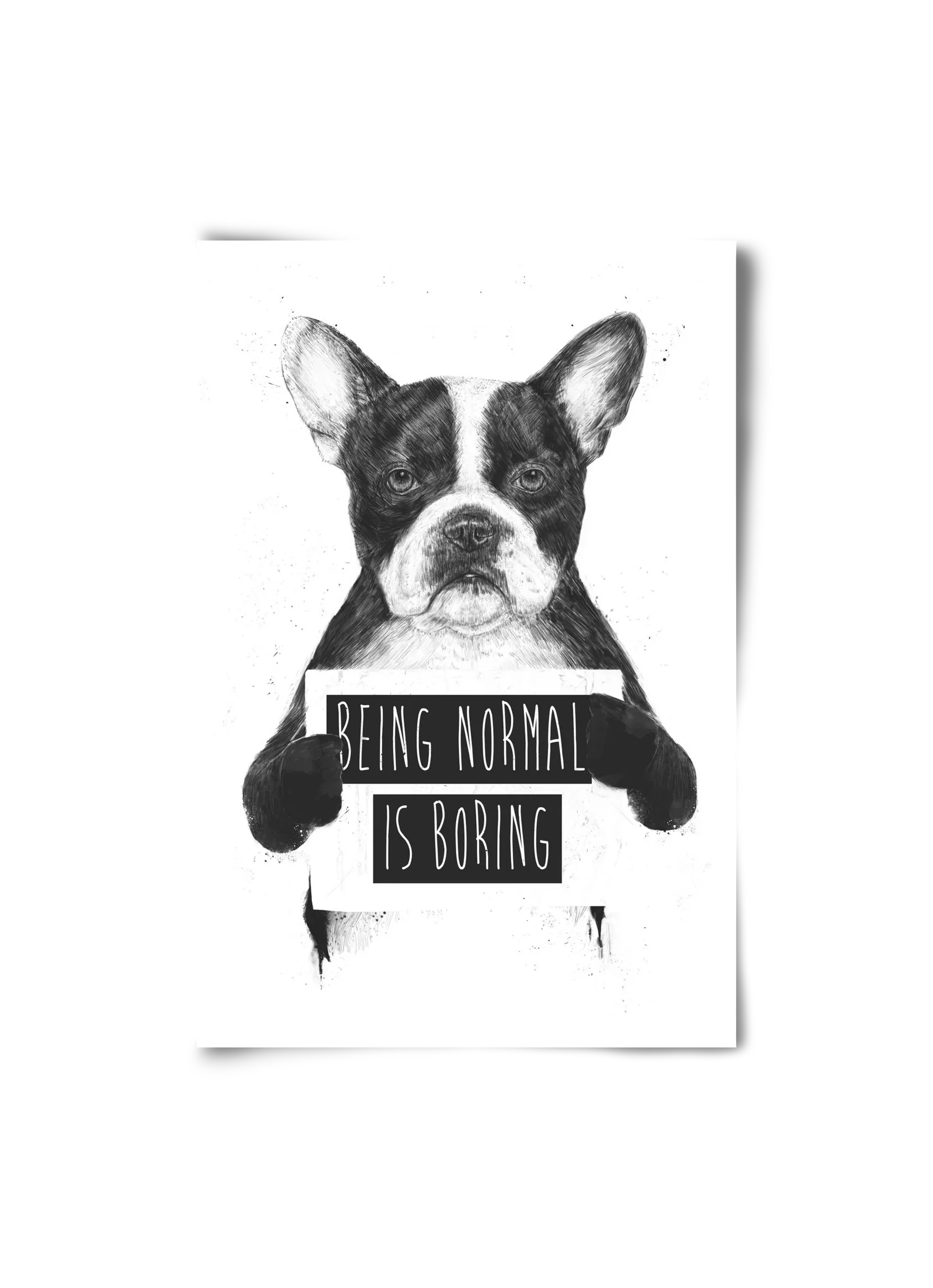 Being normal is boring - artbridge