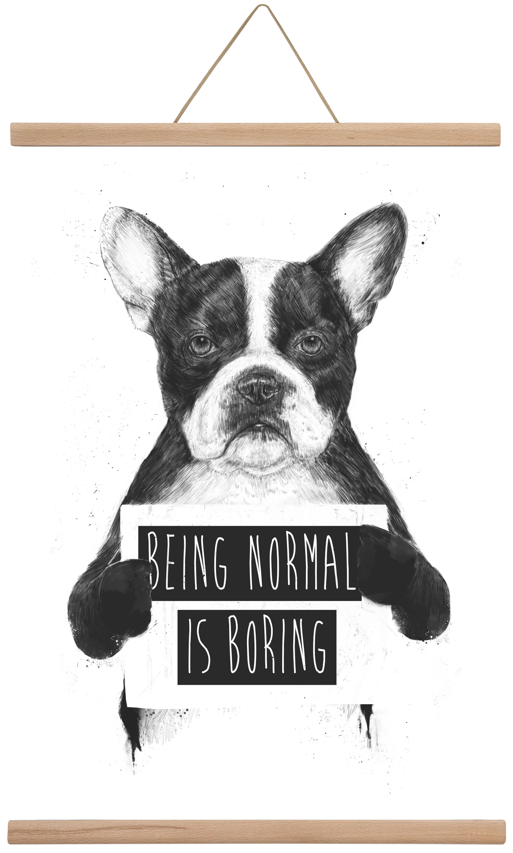 Being normal is boring - artbridge