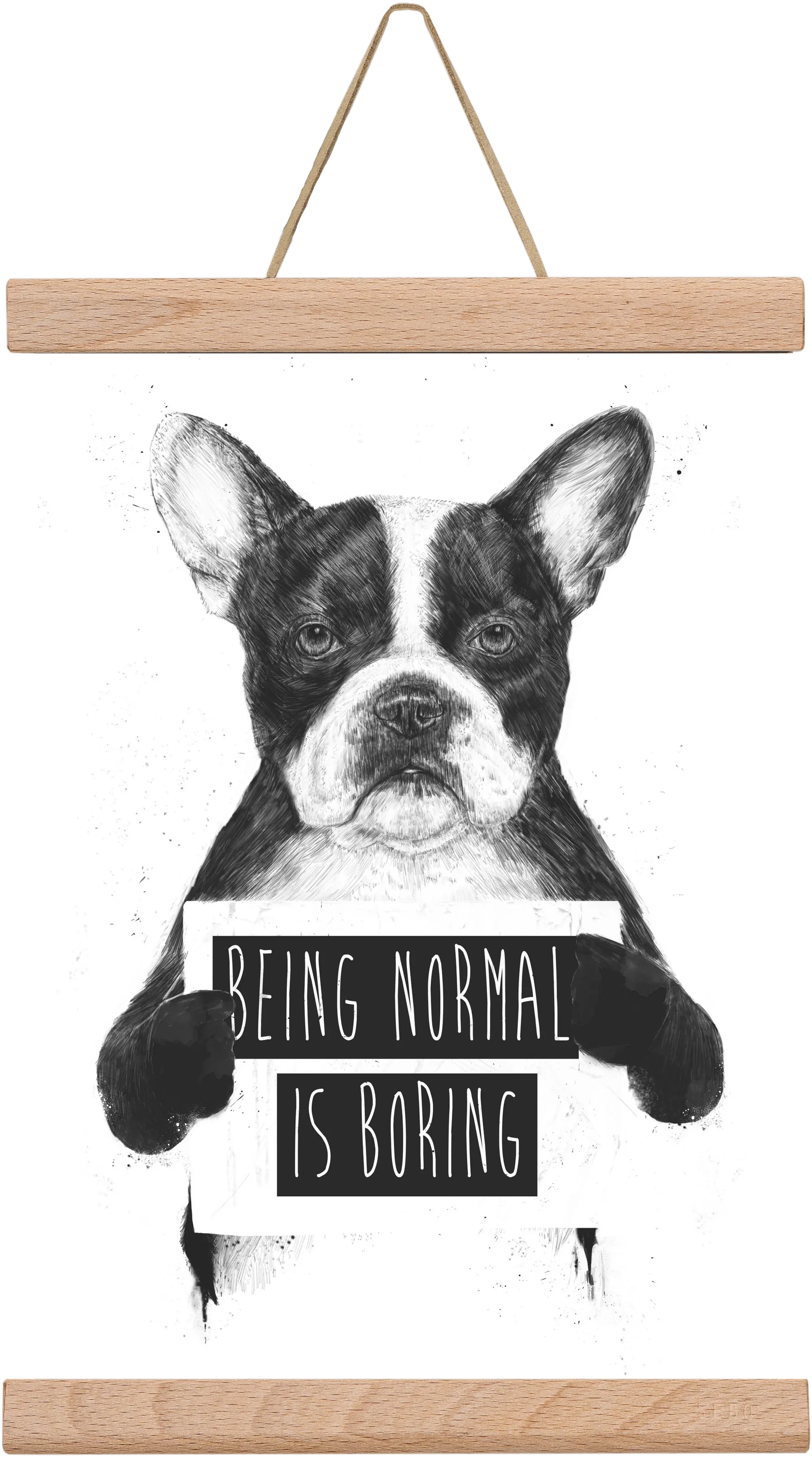 Being normal is boring - artbridge