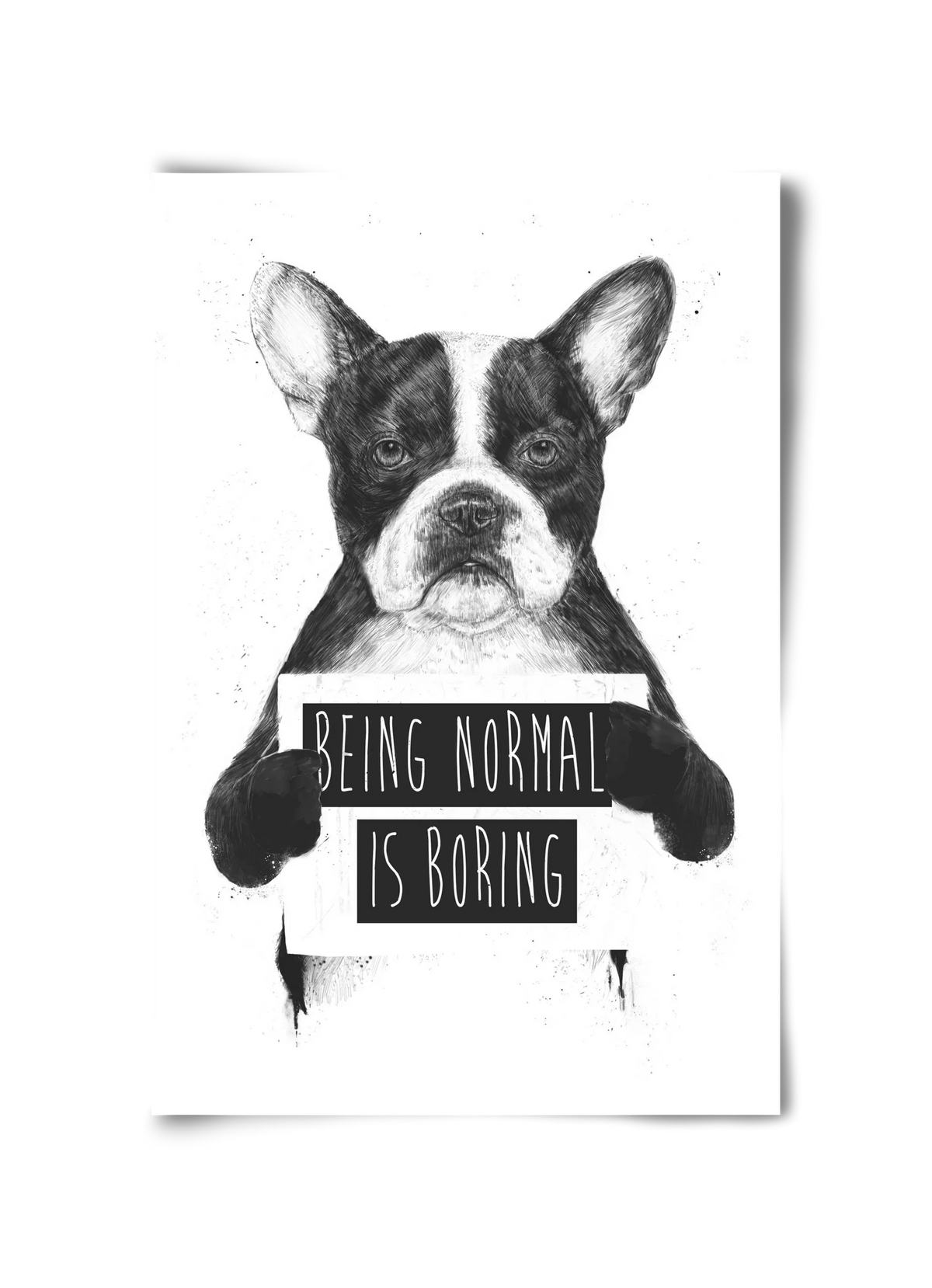 Being normal is boring - artbridge