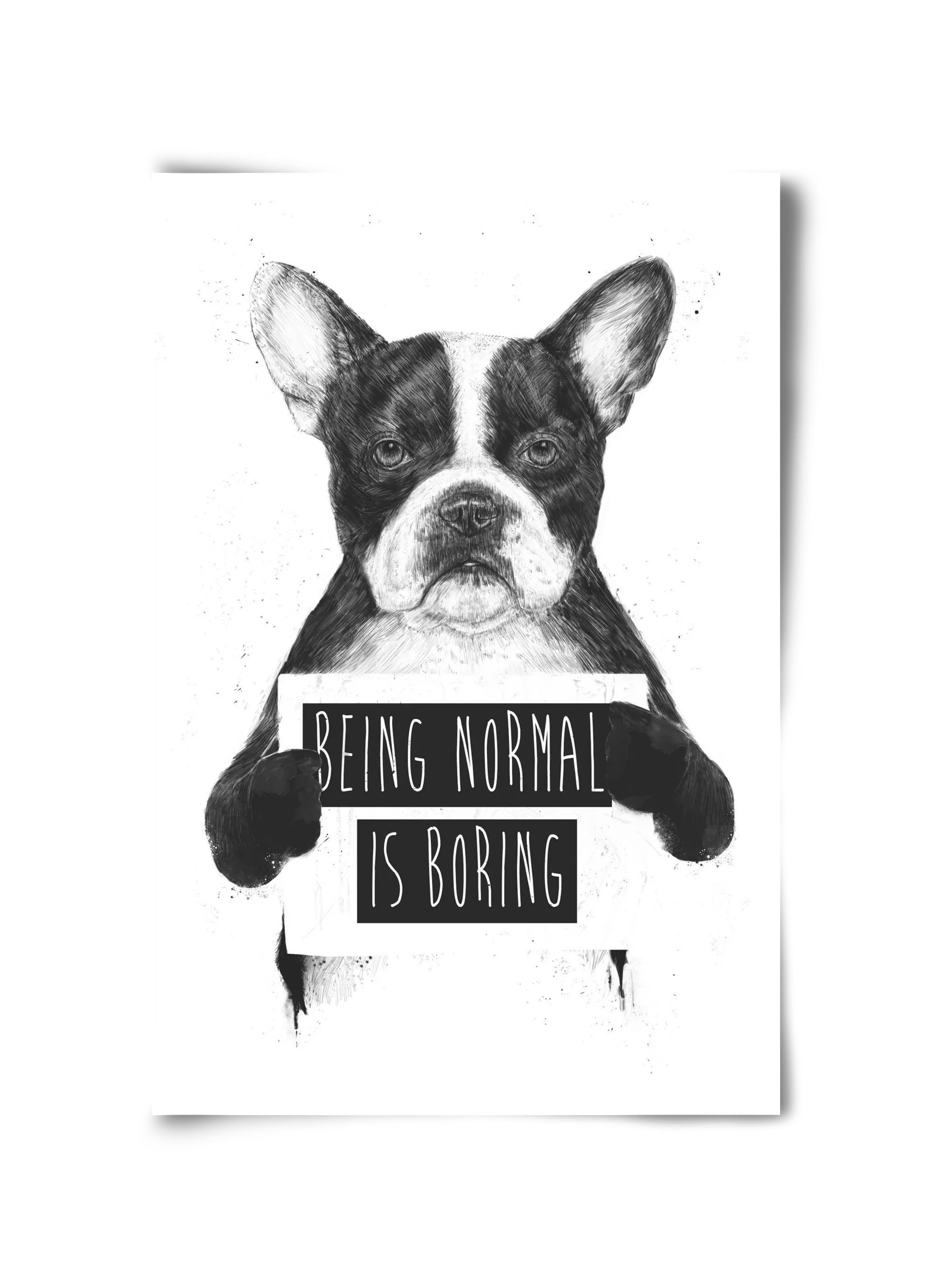 Being normal is boring - artbridge
