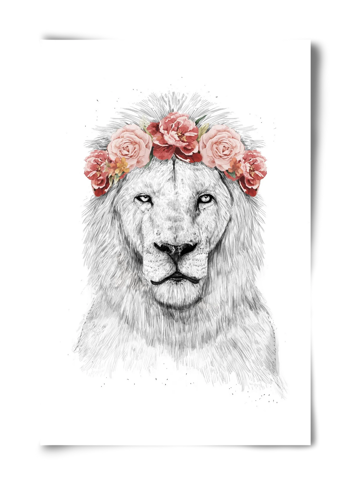 Festival lion - artbridge