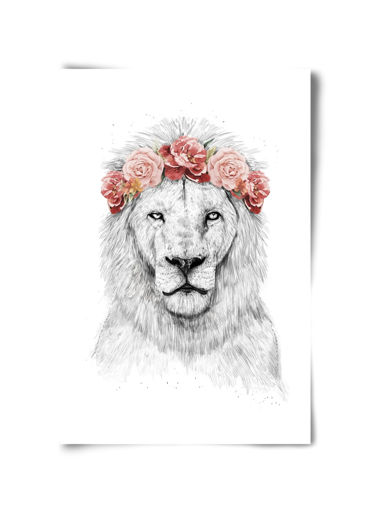Festival lion - artbridge
