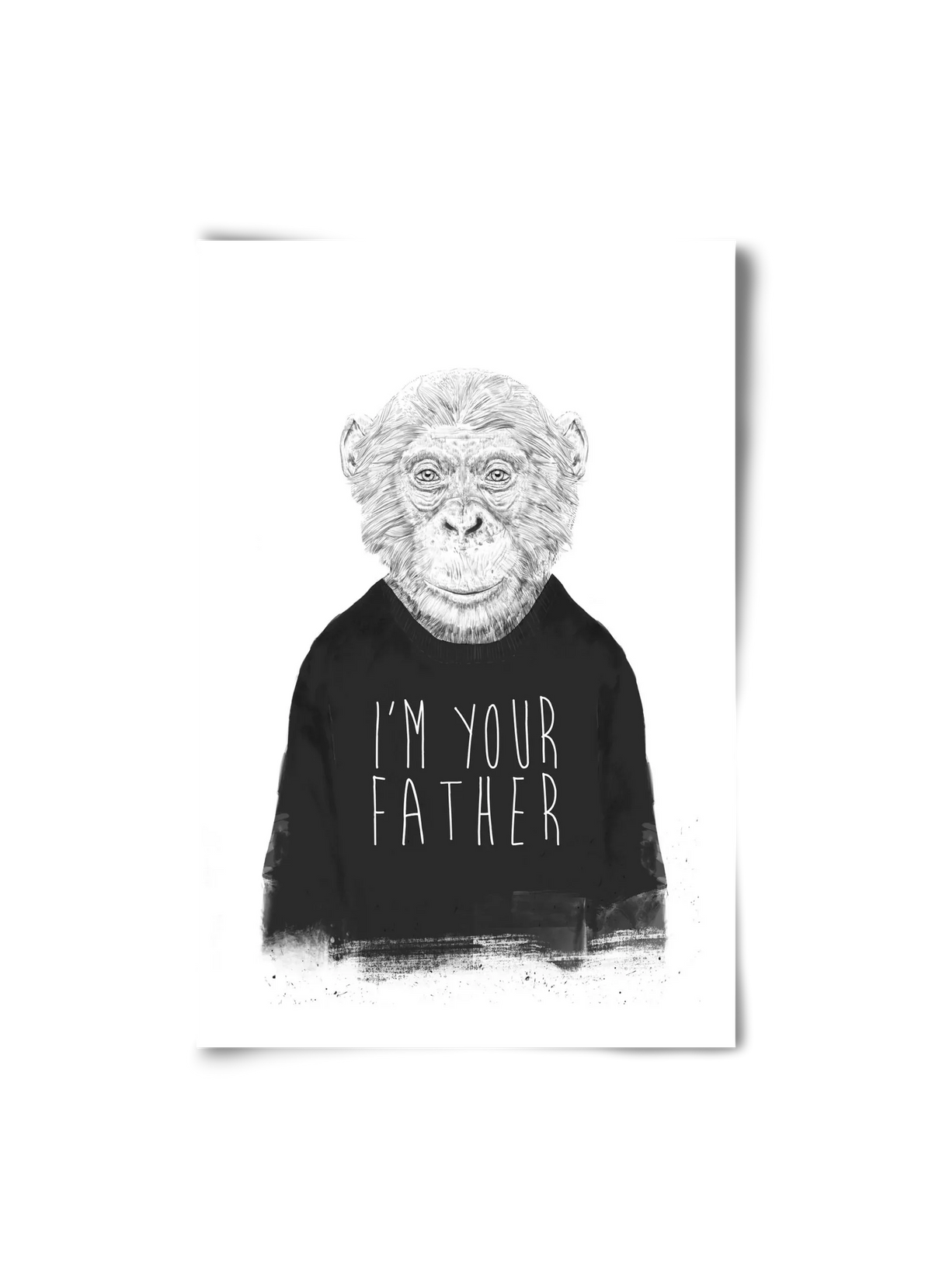 I'm your father - artbridge