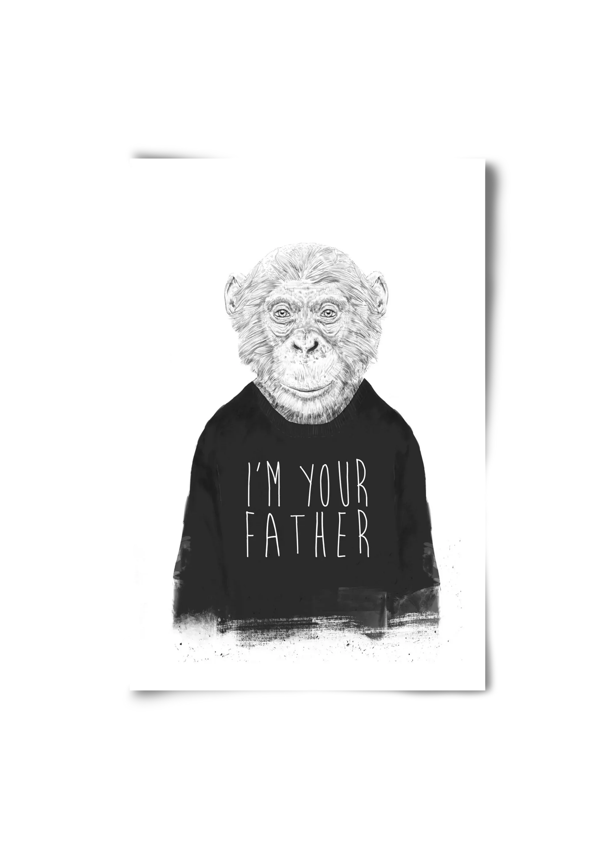 I'm your father - artbridge