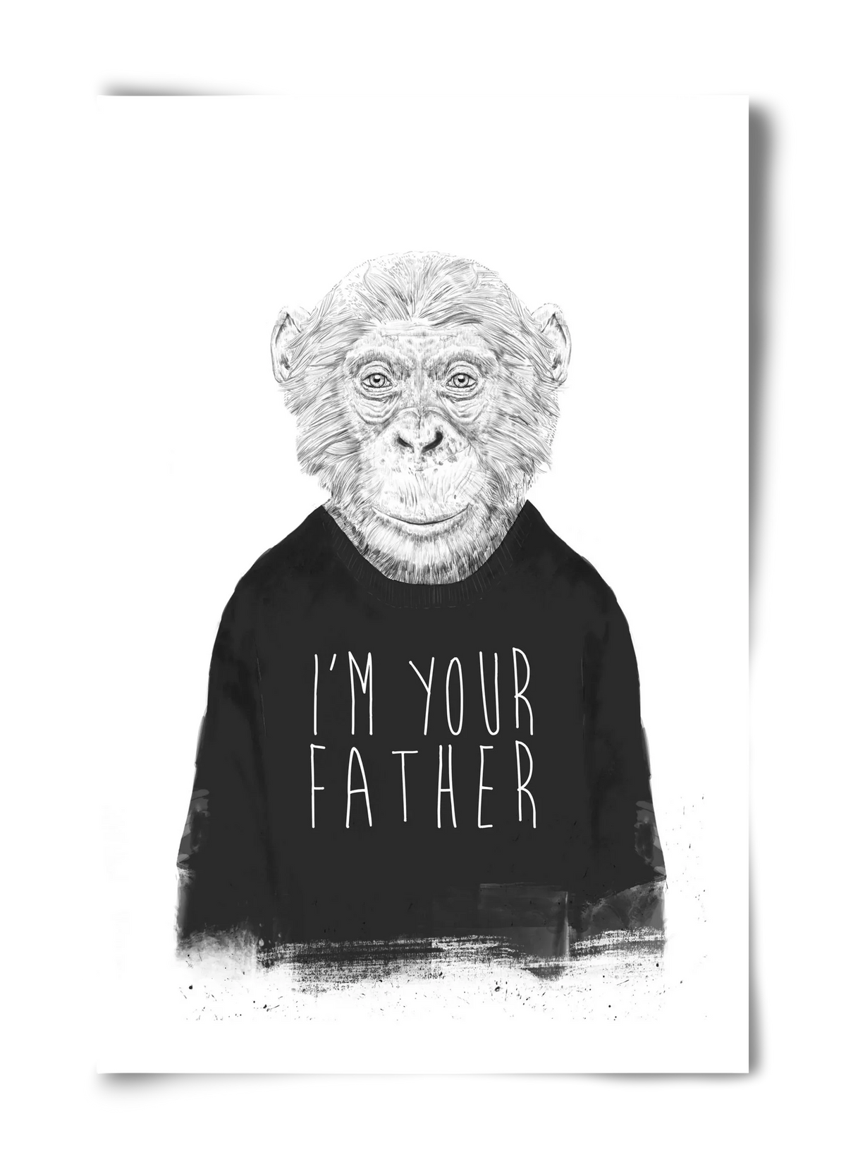 I'm your father - artbridge