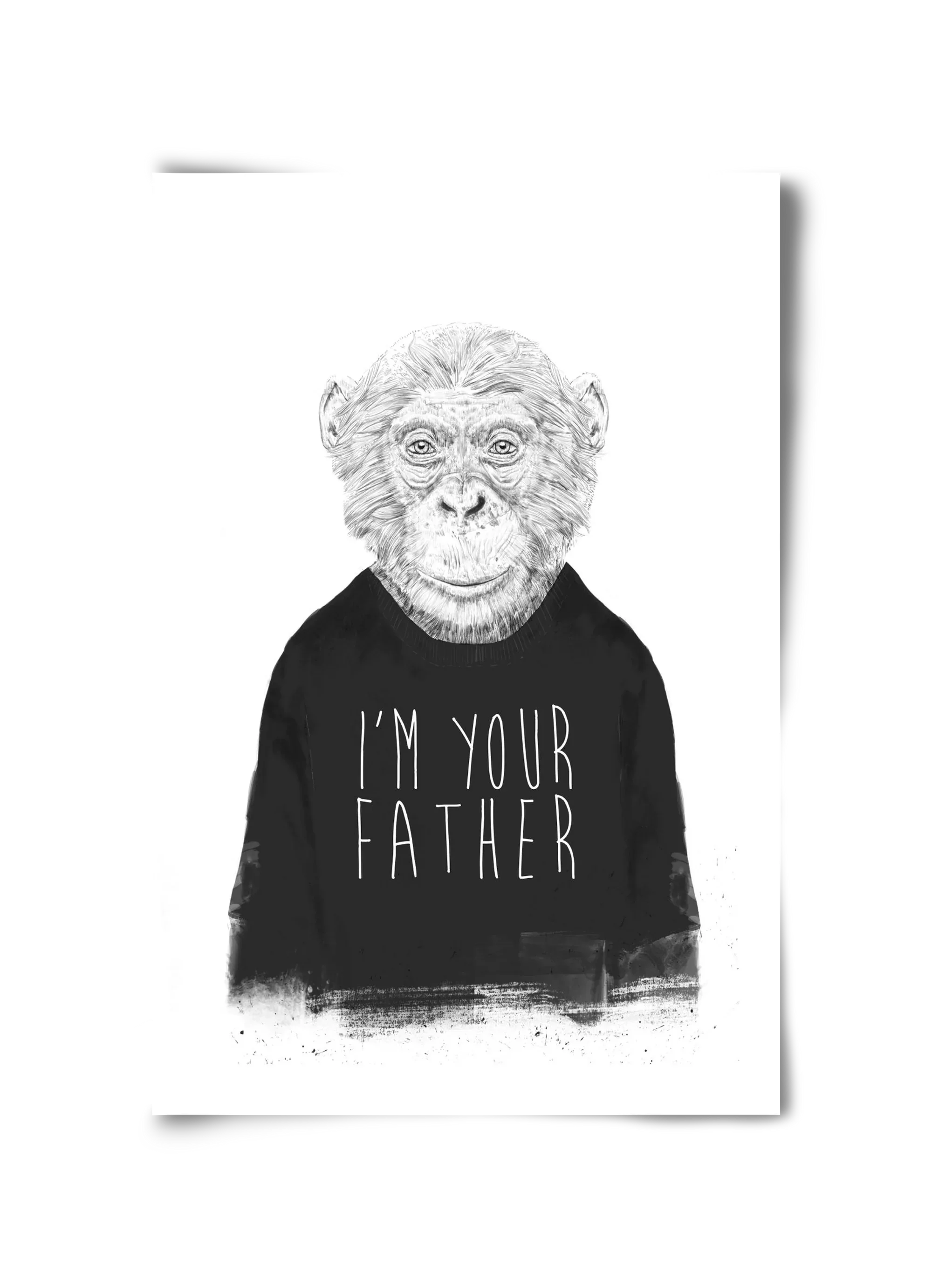 I'm your father - artbridge