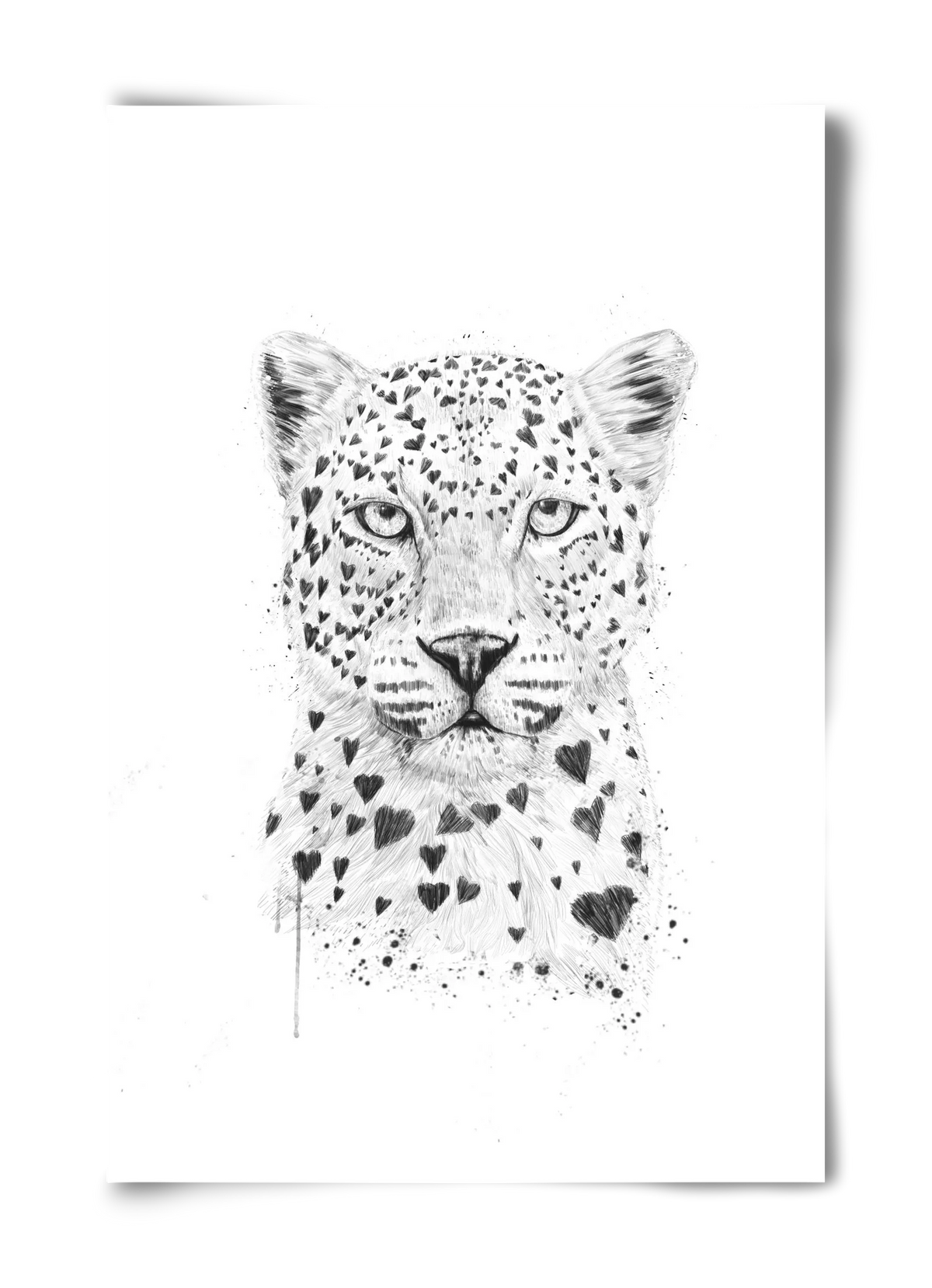 Lovely leopard - artbridge