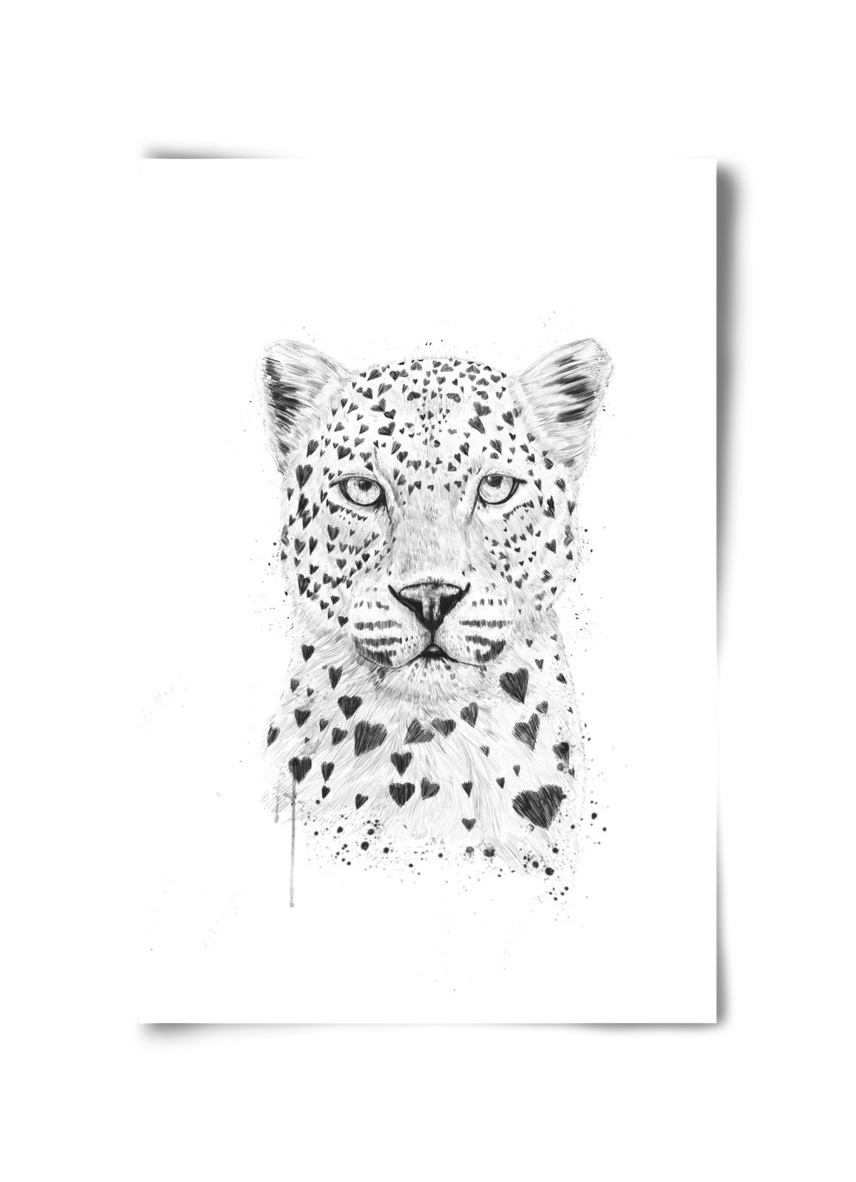 Lovely leopard - artbridge