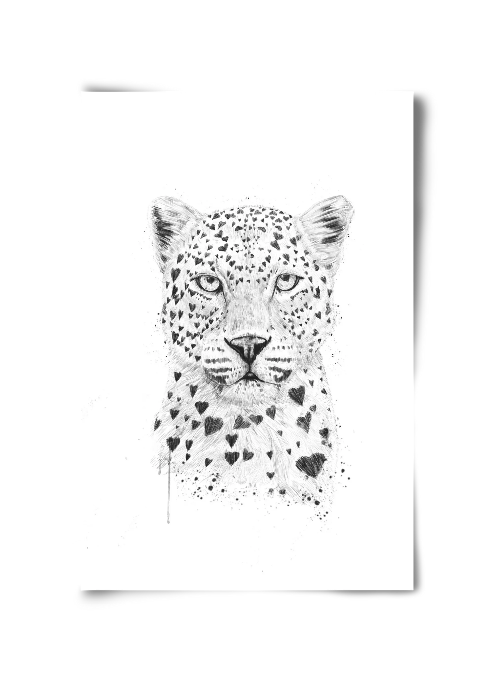 Lovely leopard - artbridge