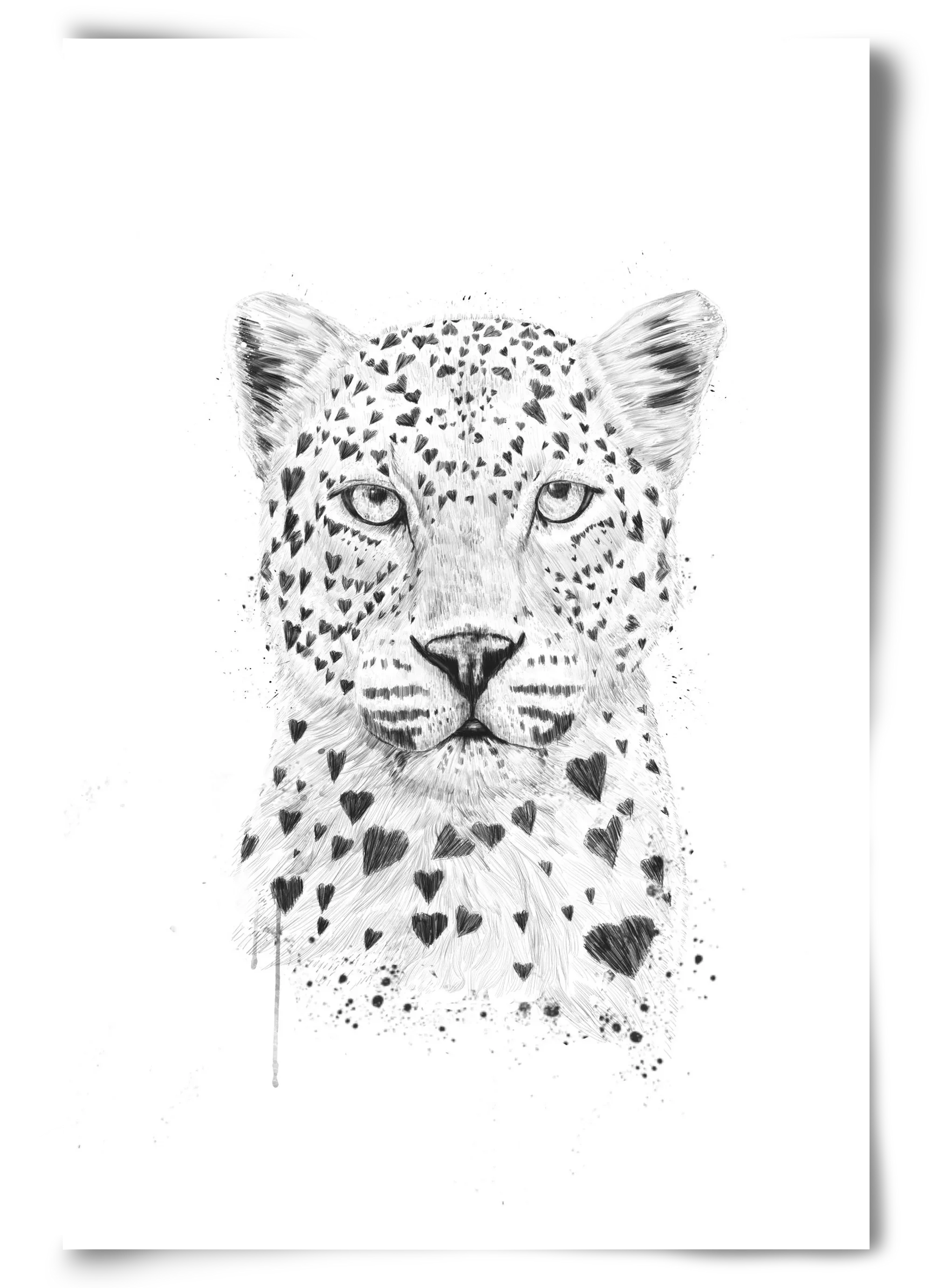 Lovely leopard - artbridge