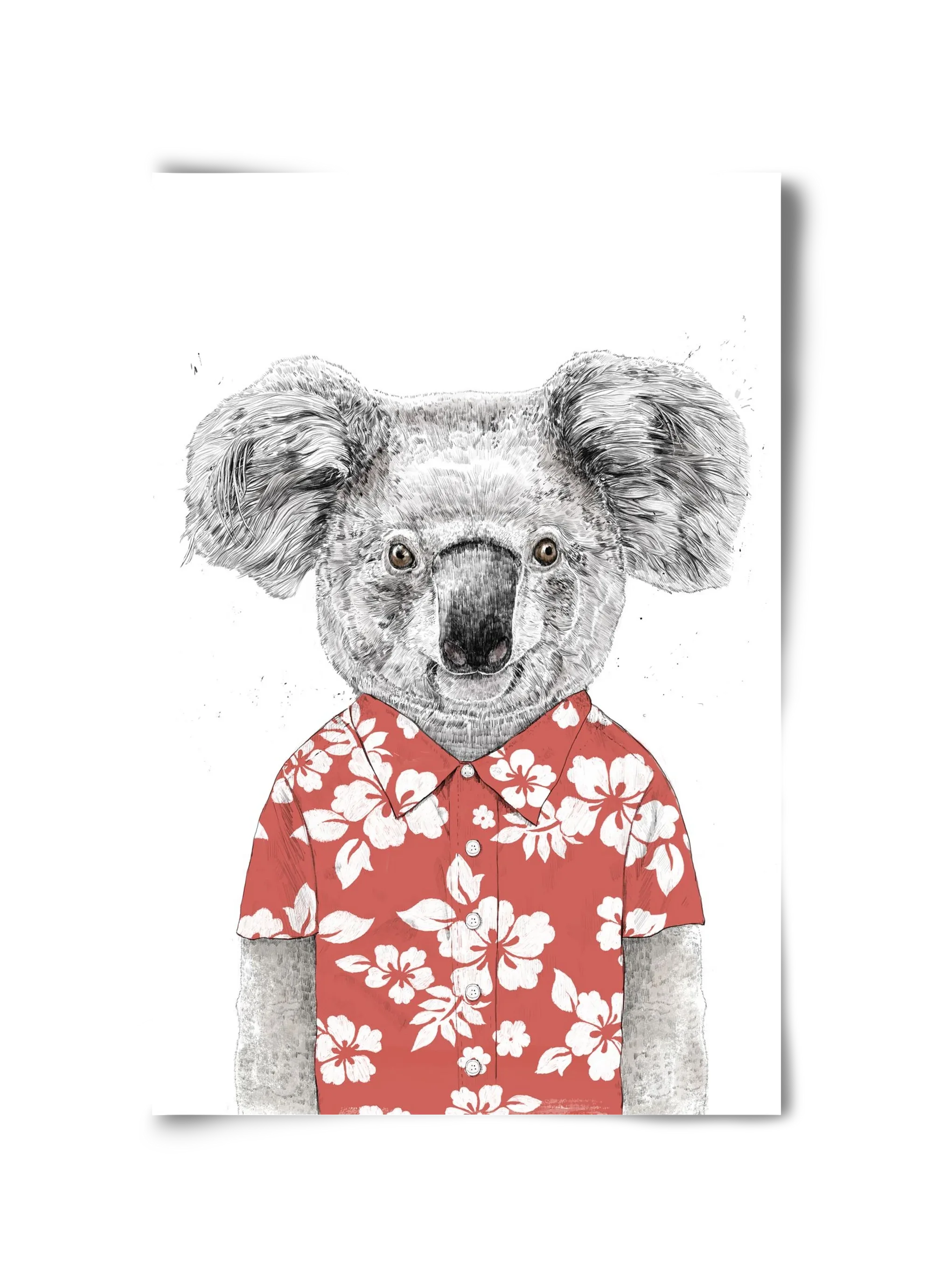 Summer koala (red) - artbridge