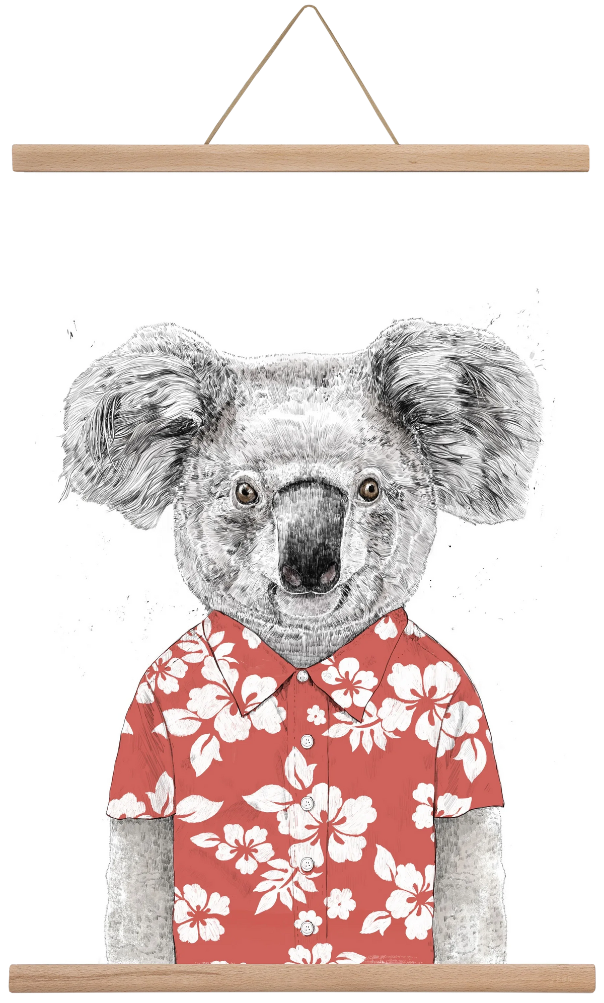 Summer koala (red) - artbridge