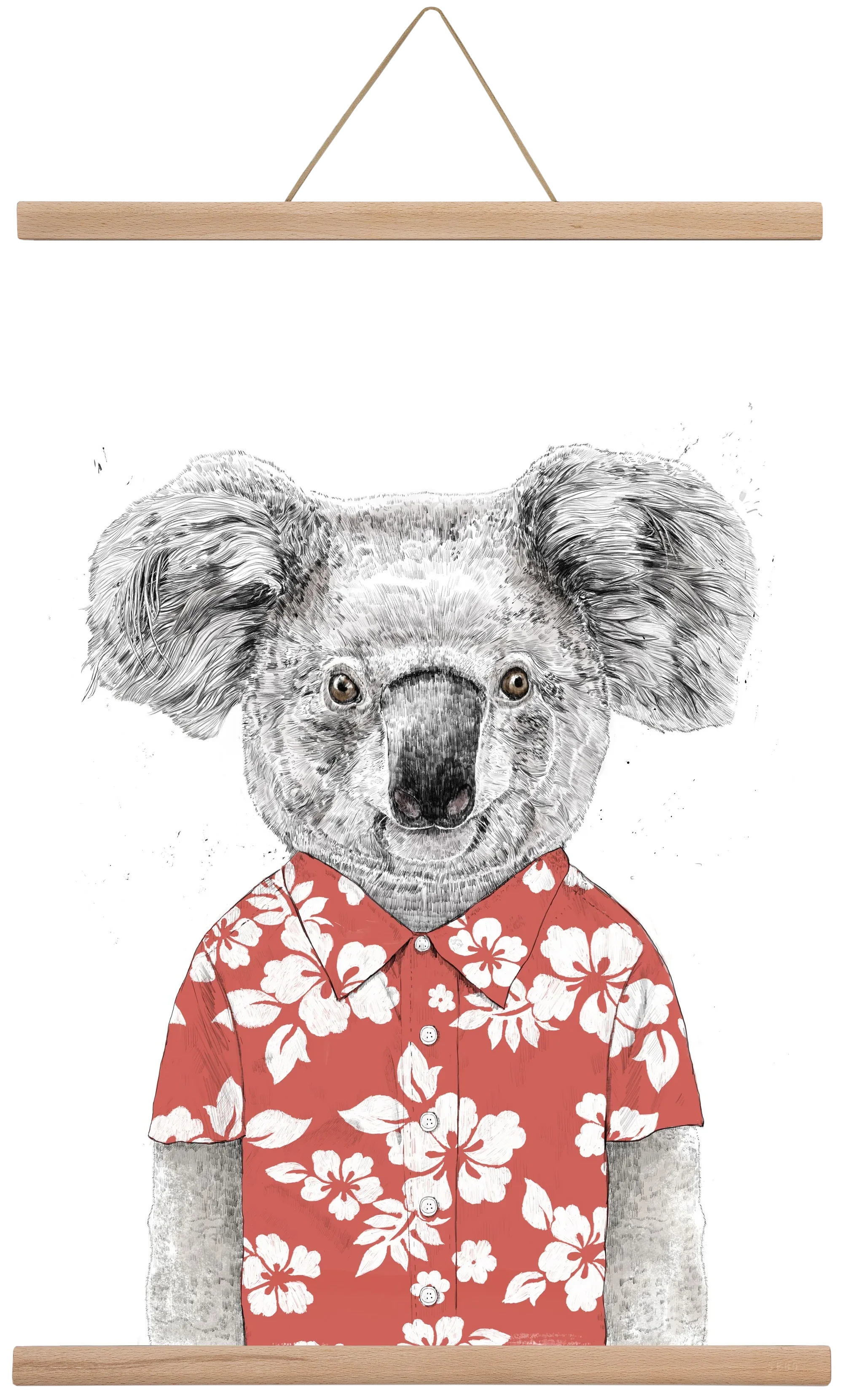 Summer koala (red) - artbridge