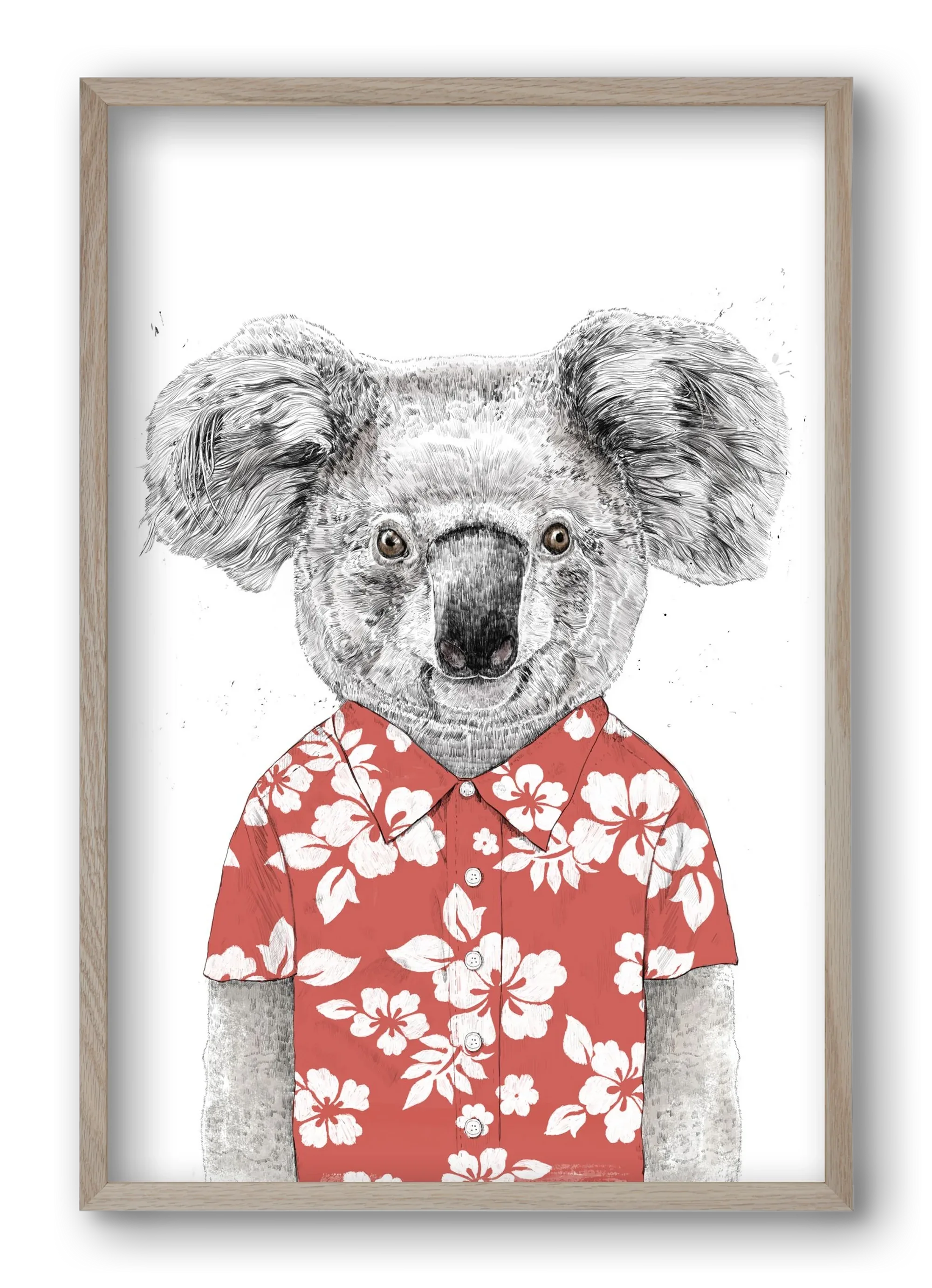 Summer koala (red) - artbridge