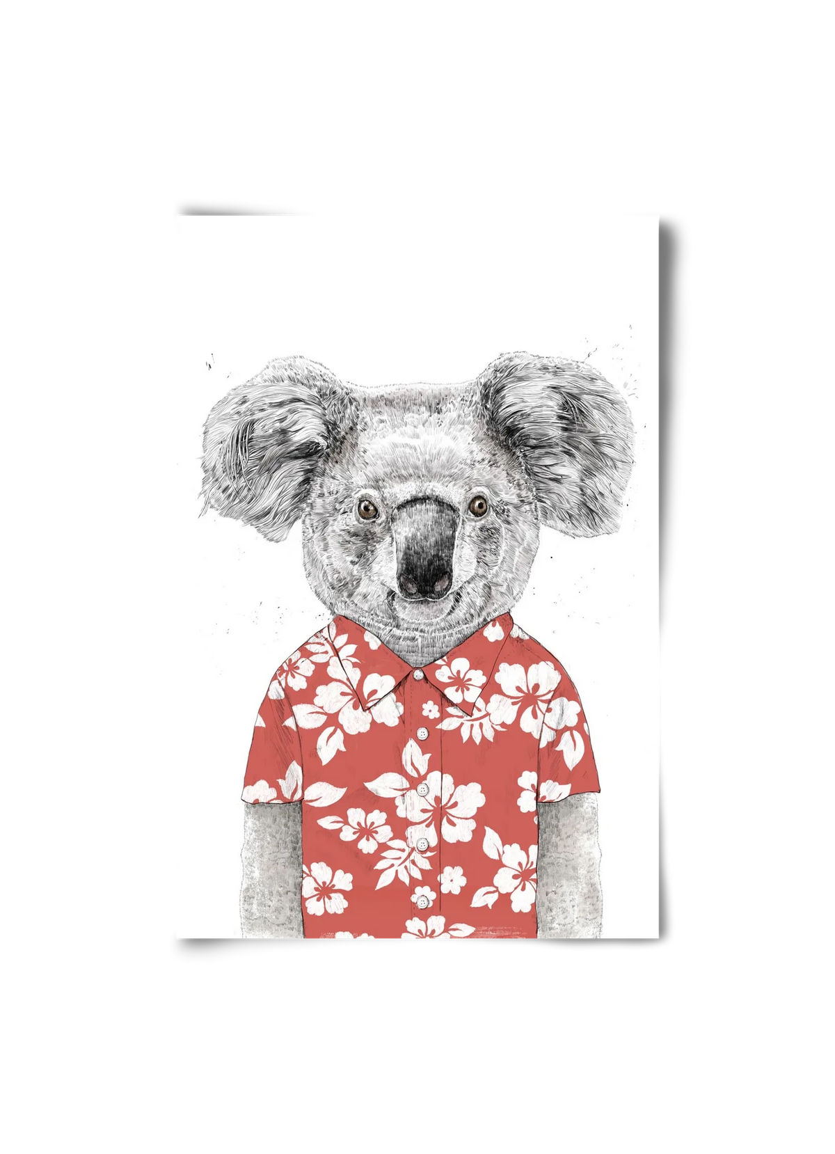 Summer koala (red) - artbridge