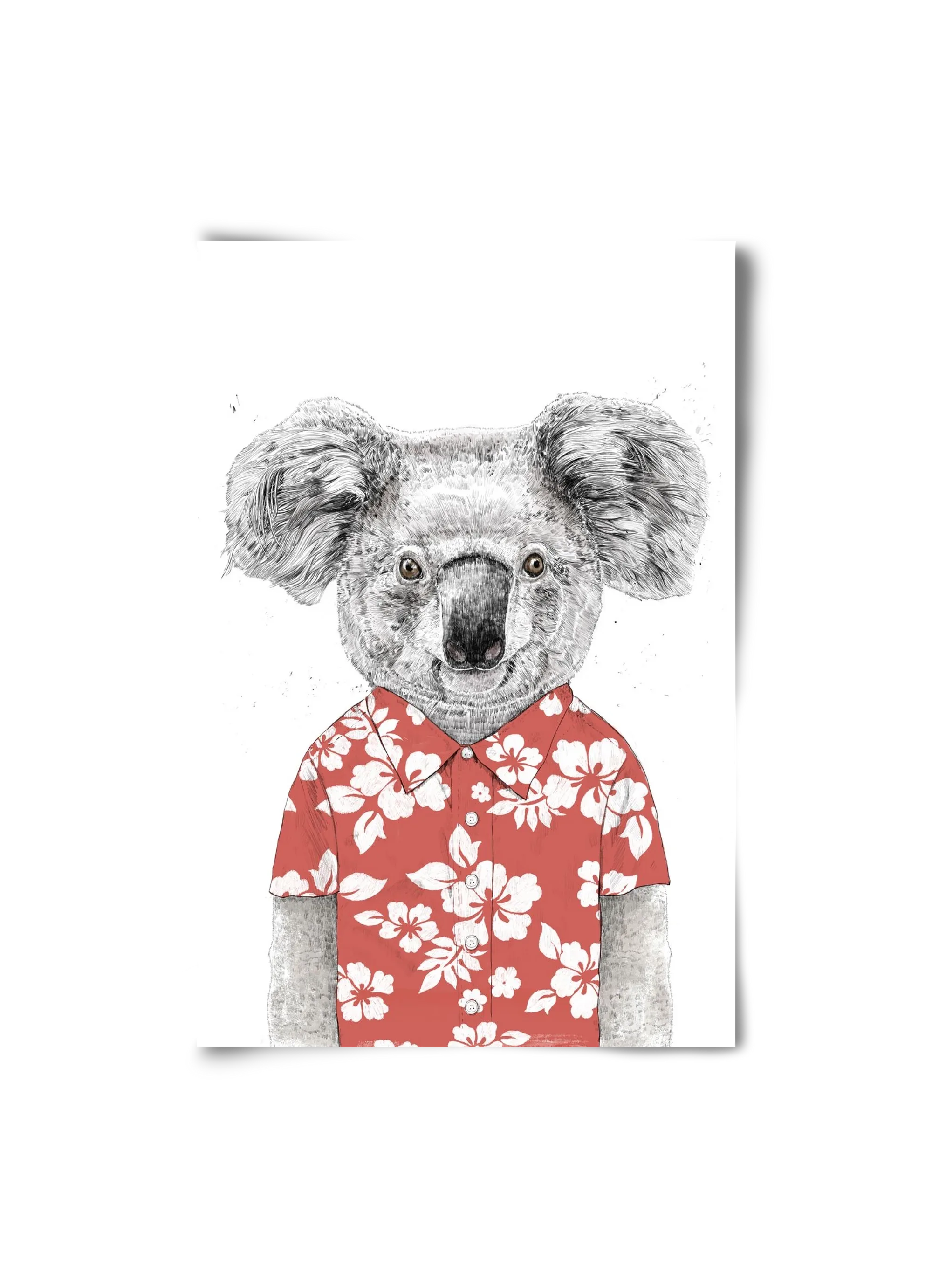 Summer koala (red) - artbridge