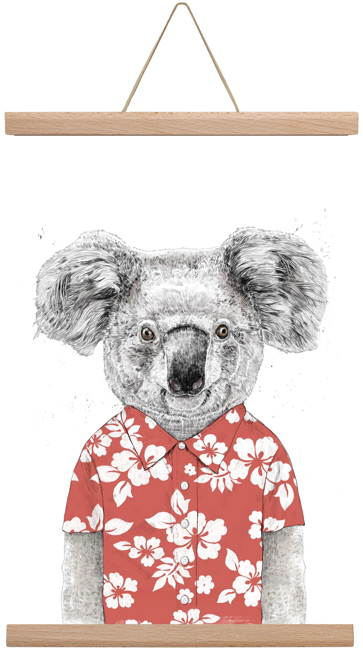 Summer koala (red) - artbridge