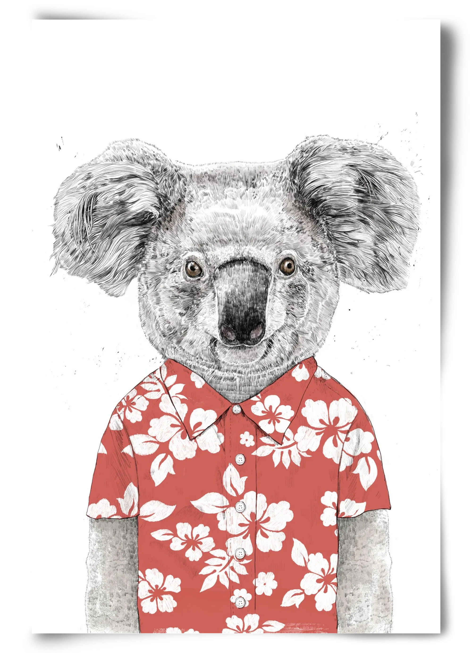 Summer koala (red) - artbridge