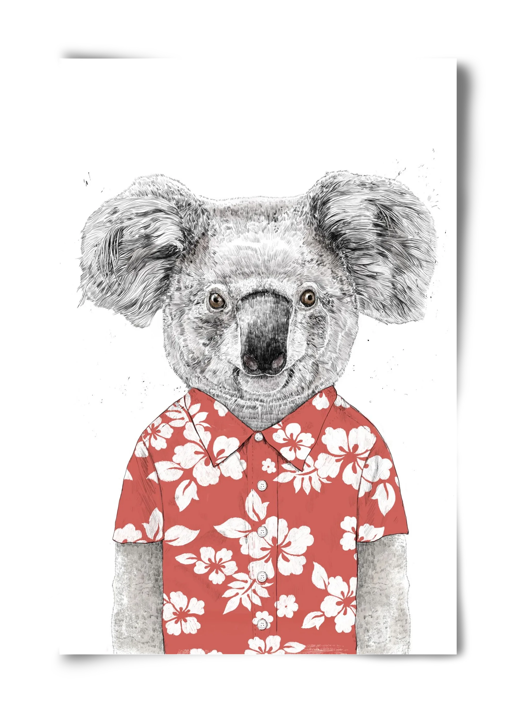 Summer koala (red) - artbridge