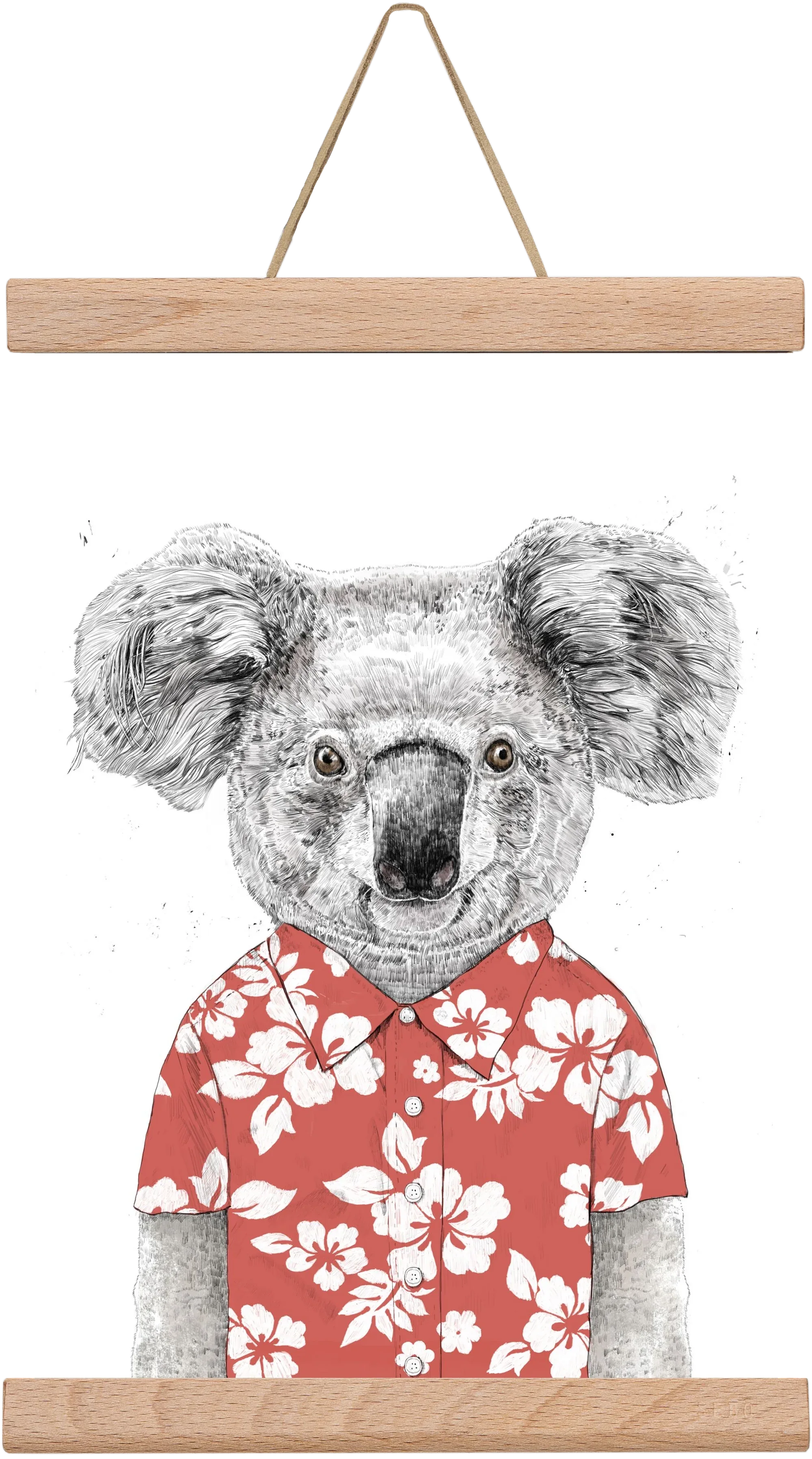 Summer koala (red) - artbridge