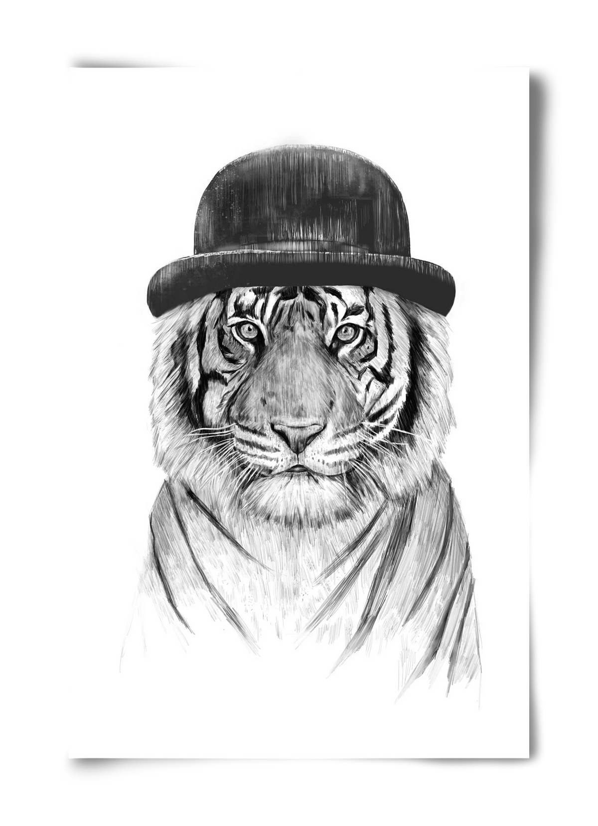 Welcome to the jungle - artbridge