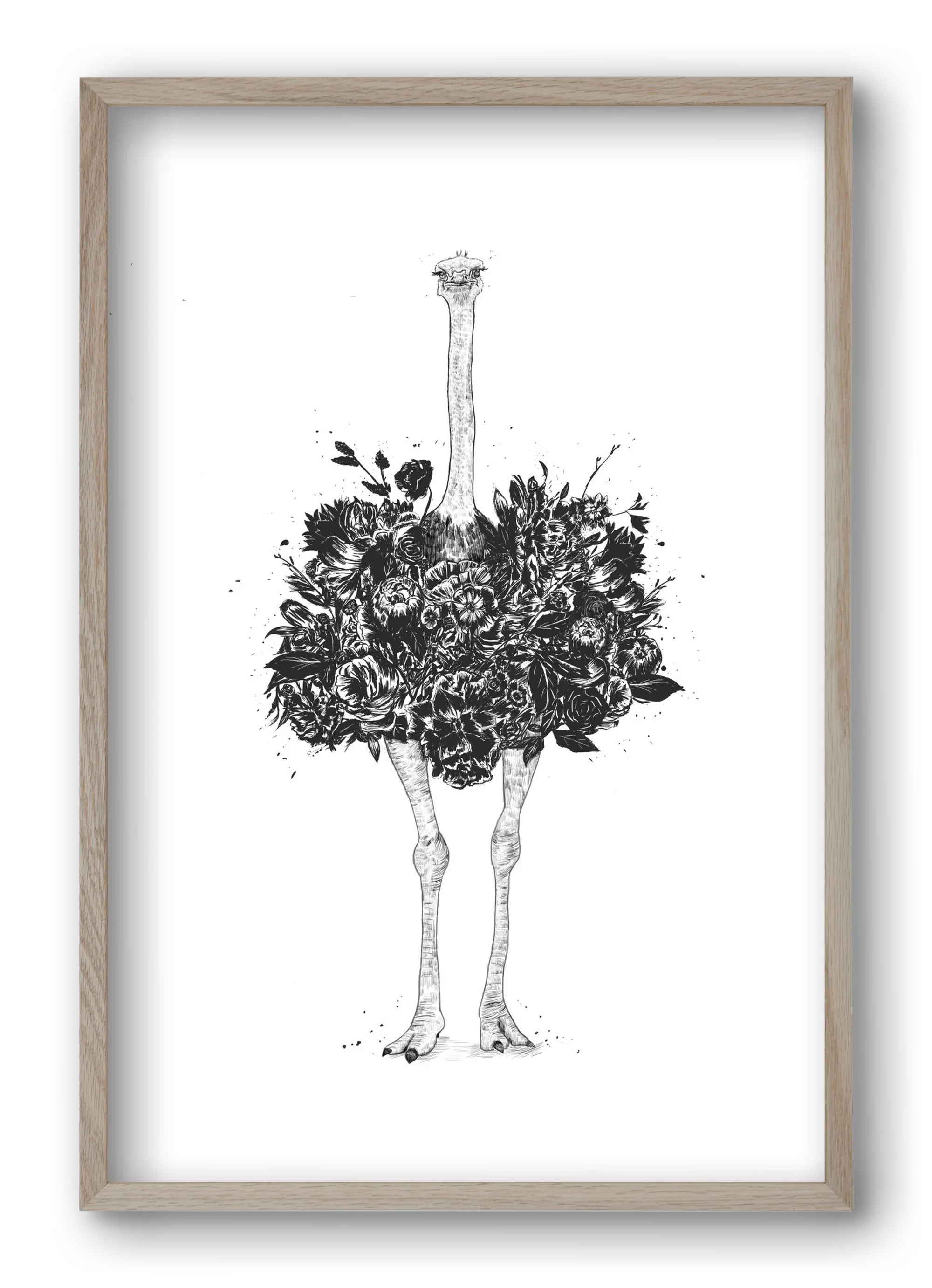 Floral ostrich - artbridge
