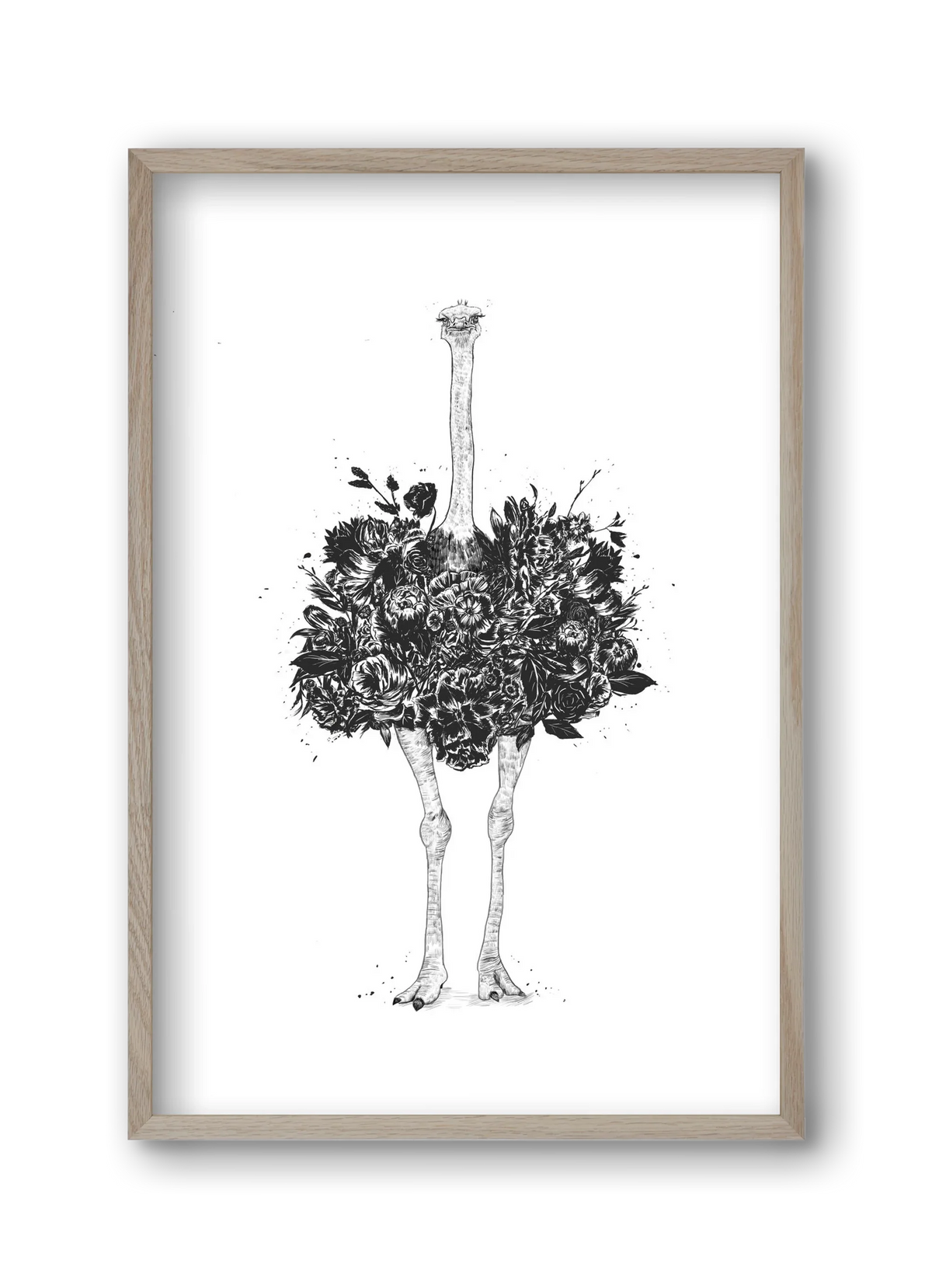 Floral ostrich - artbridge