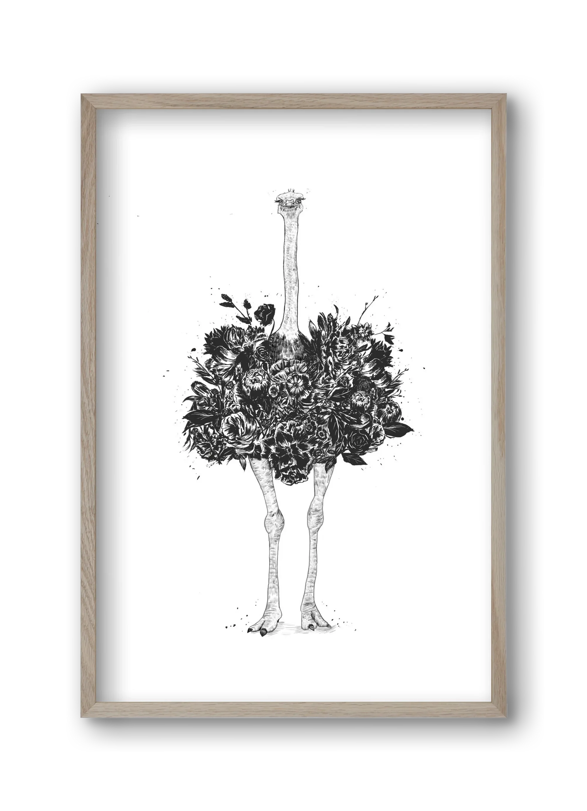 Floral ostrich - artbridge