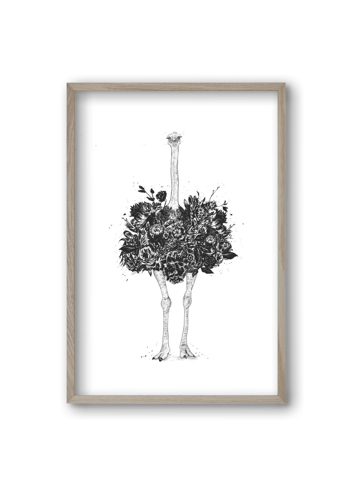 Floral ostrich - artbridge