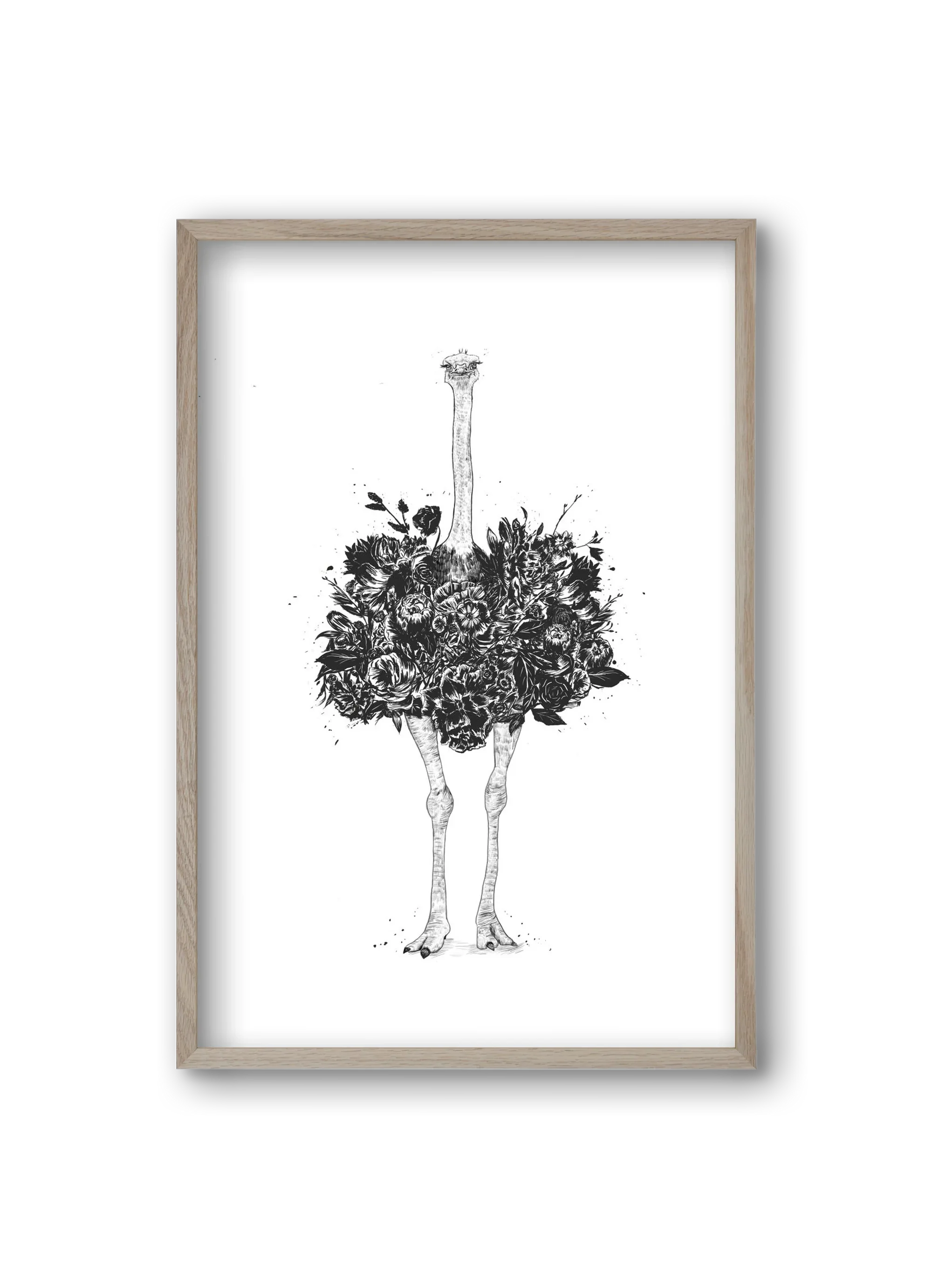 Floral ostrich - artbridge