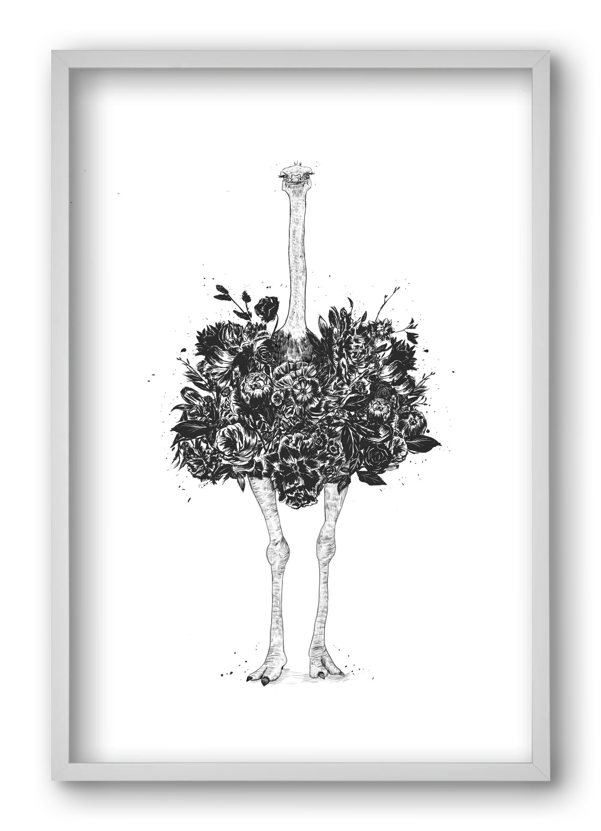Floral ostrich - artbridge