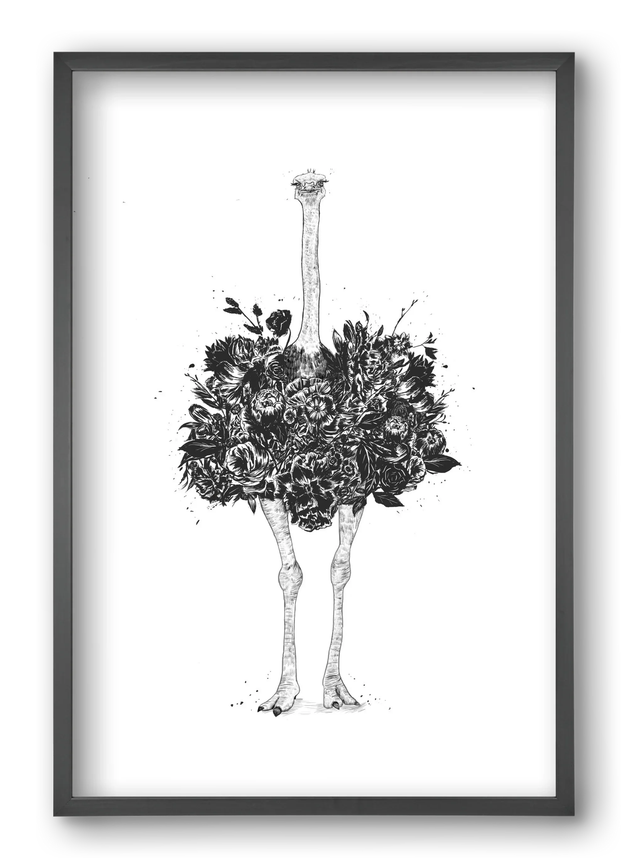 Floral ostrich - artbridge