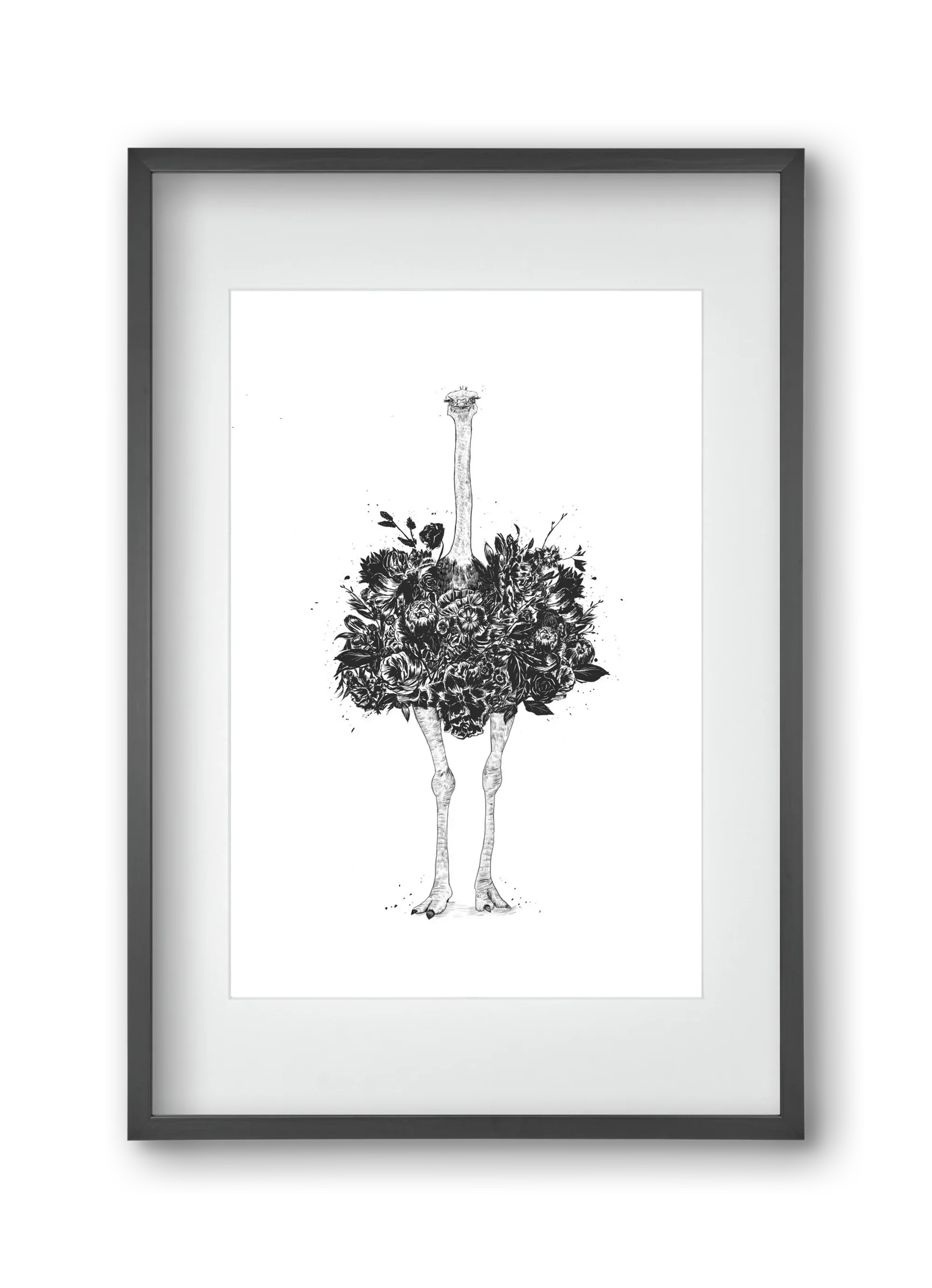 Floral ostrich - artbridge