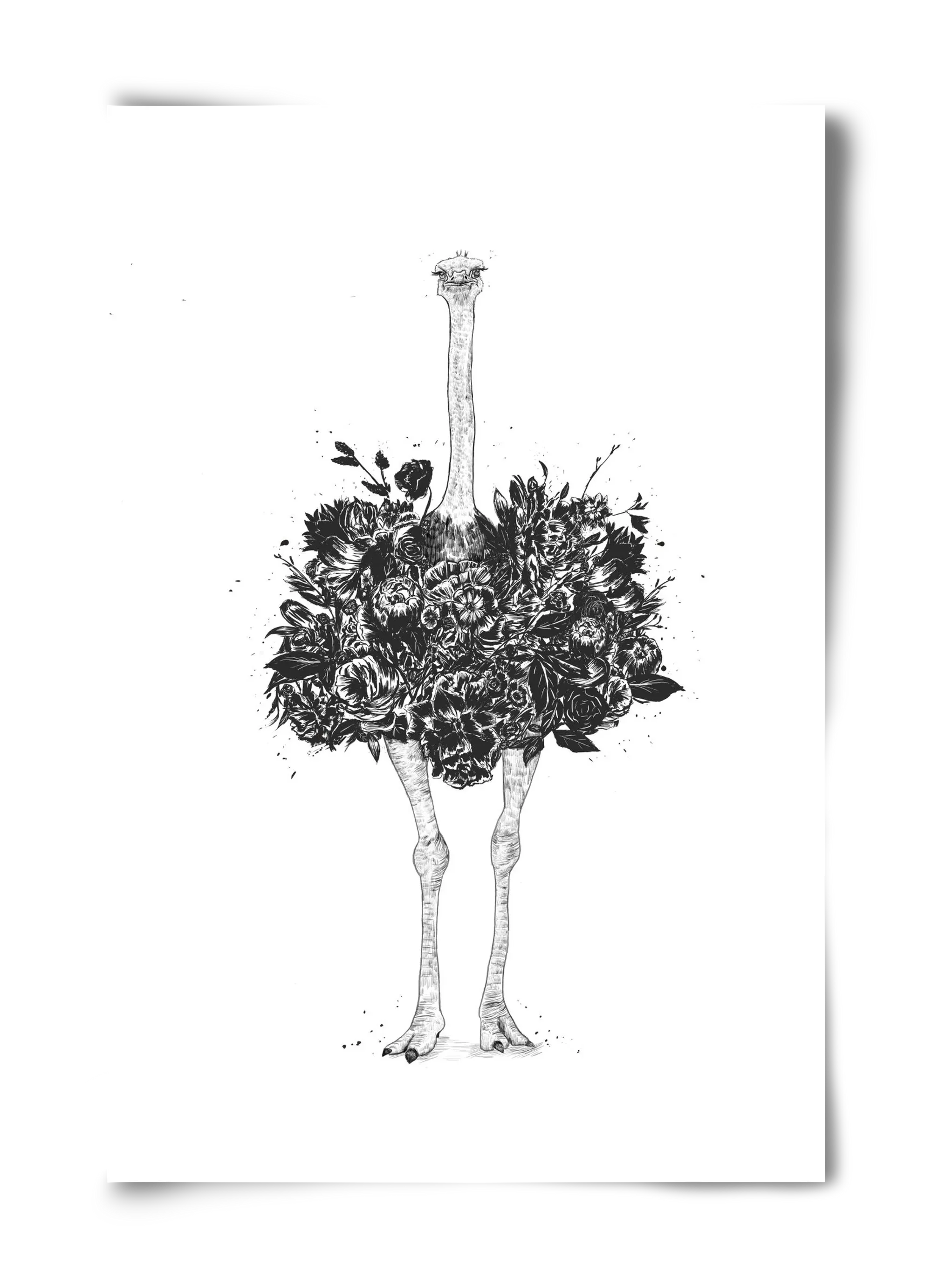 Floral ostrich - artbridge