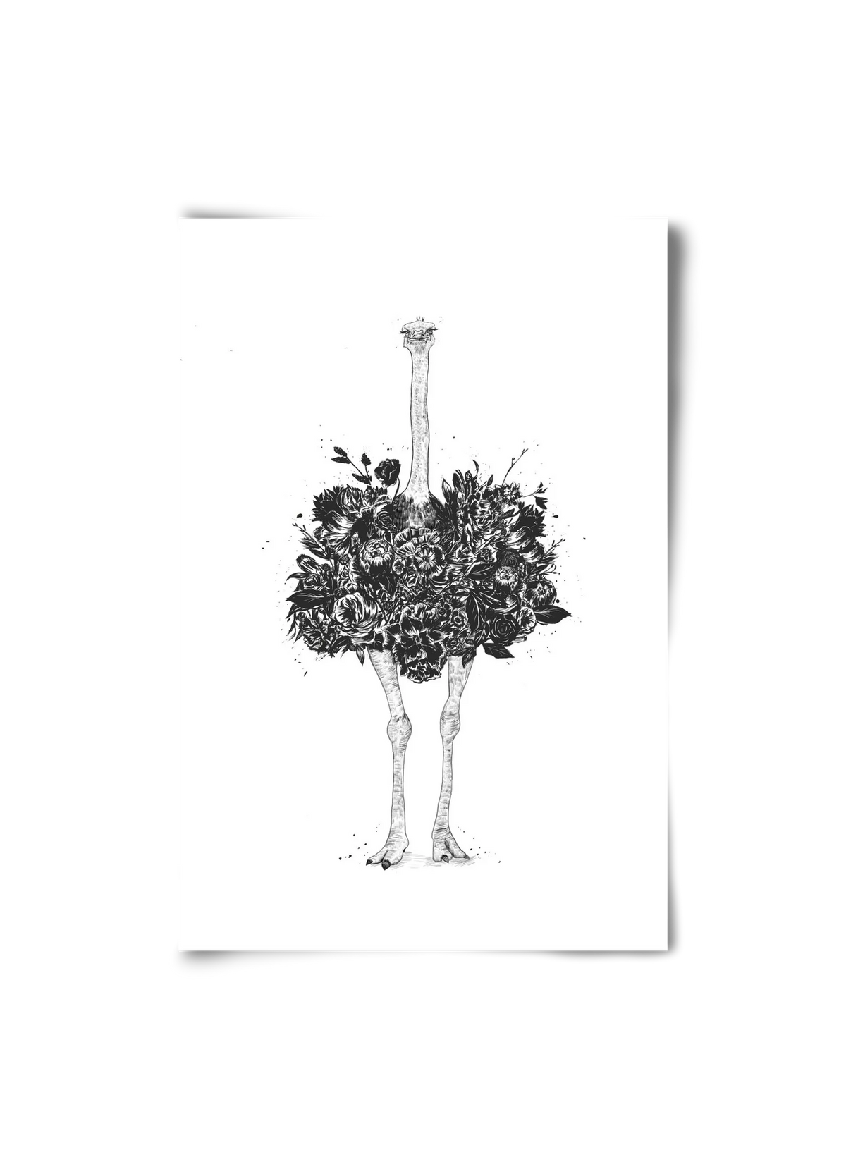Floral ostrich - artbridge