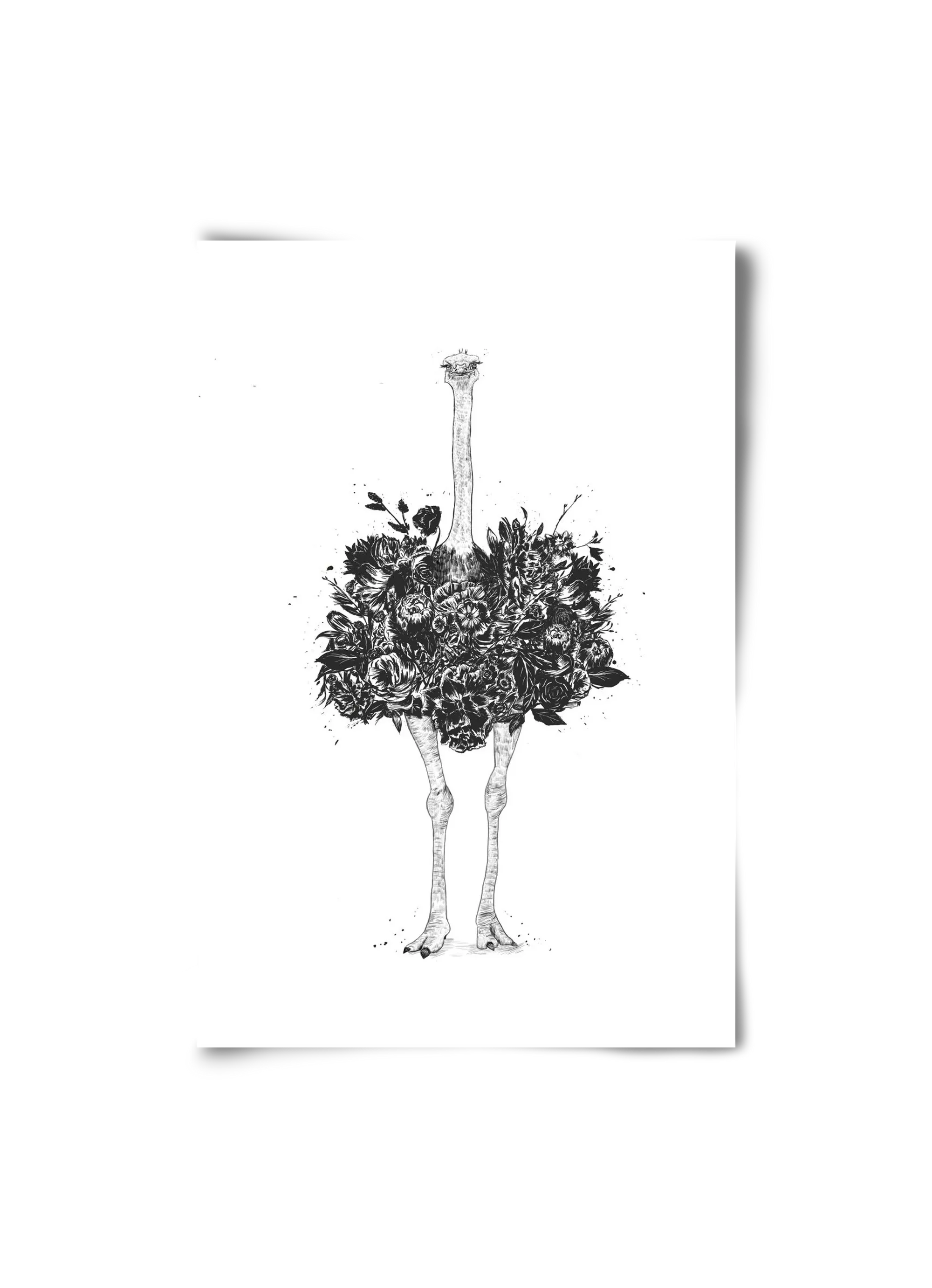 Floral ostrich - artbridge