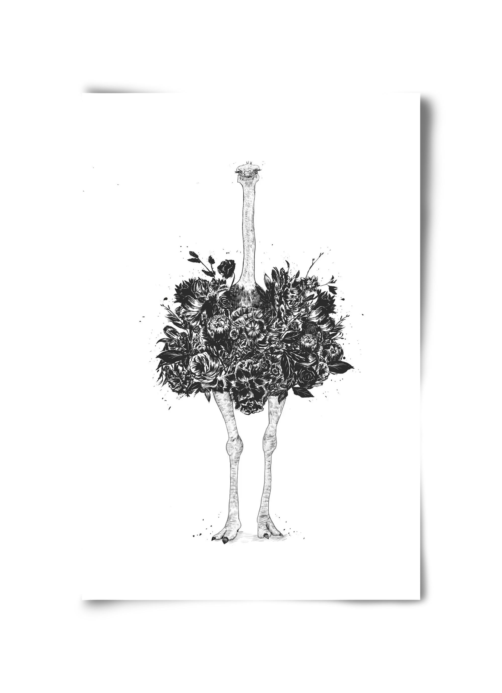 Floral ostrich - artbridge