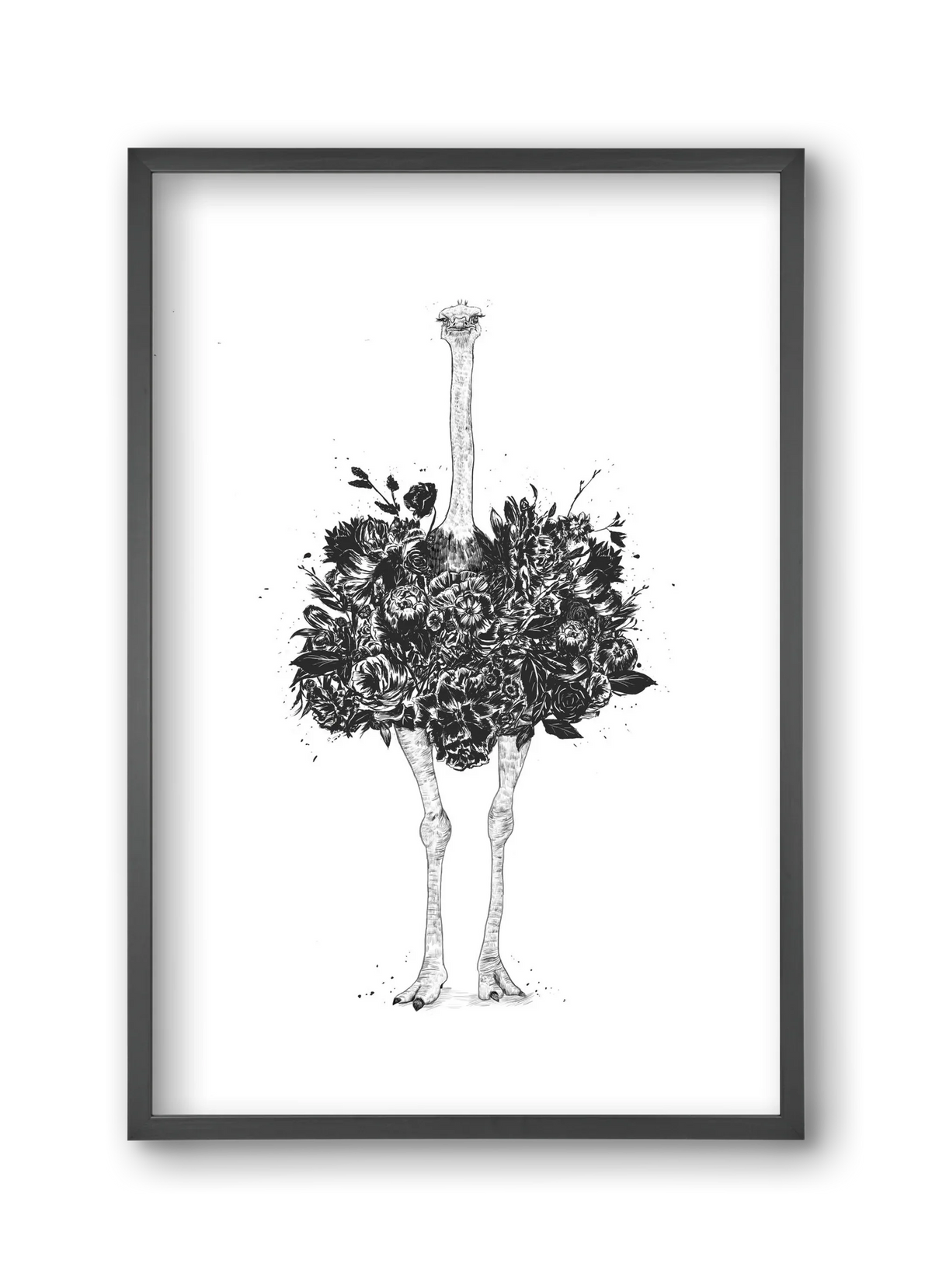 Floral ostrich - artbridge