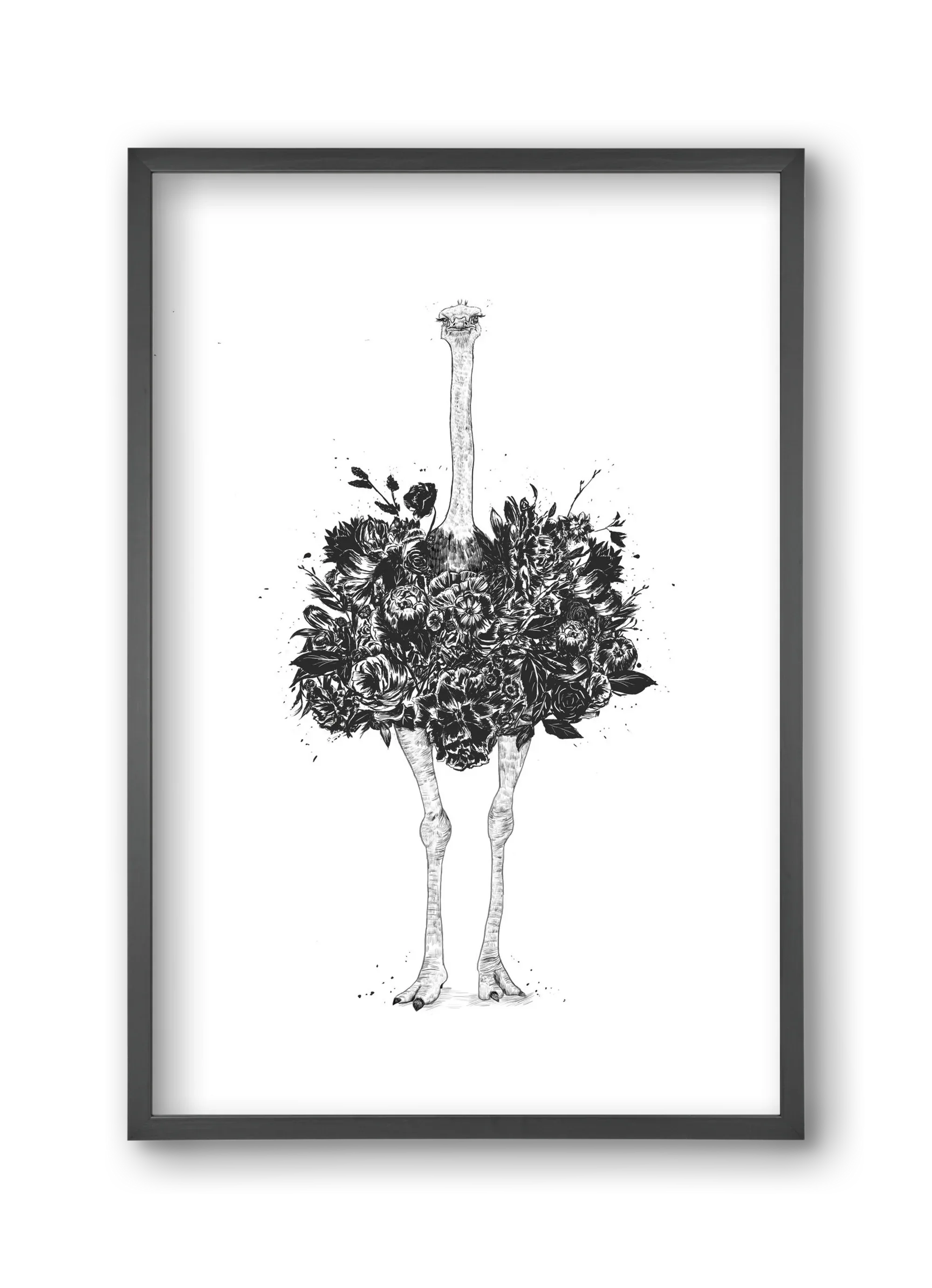 Floral ostrich - artbridge