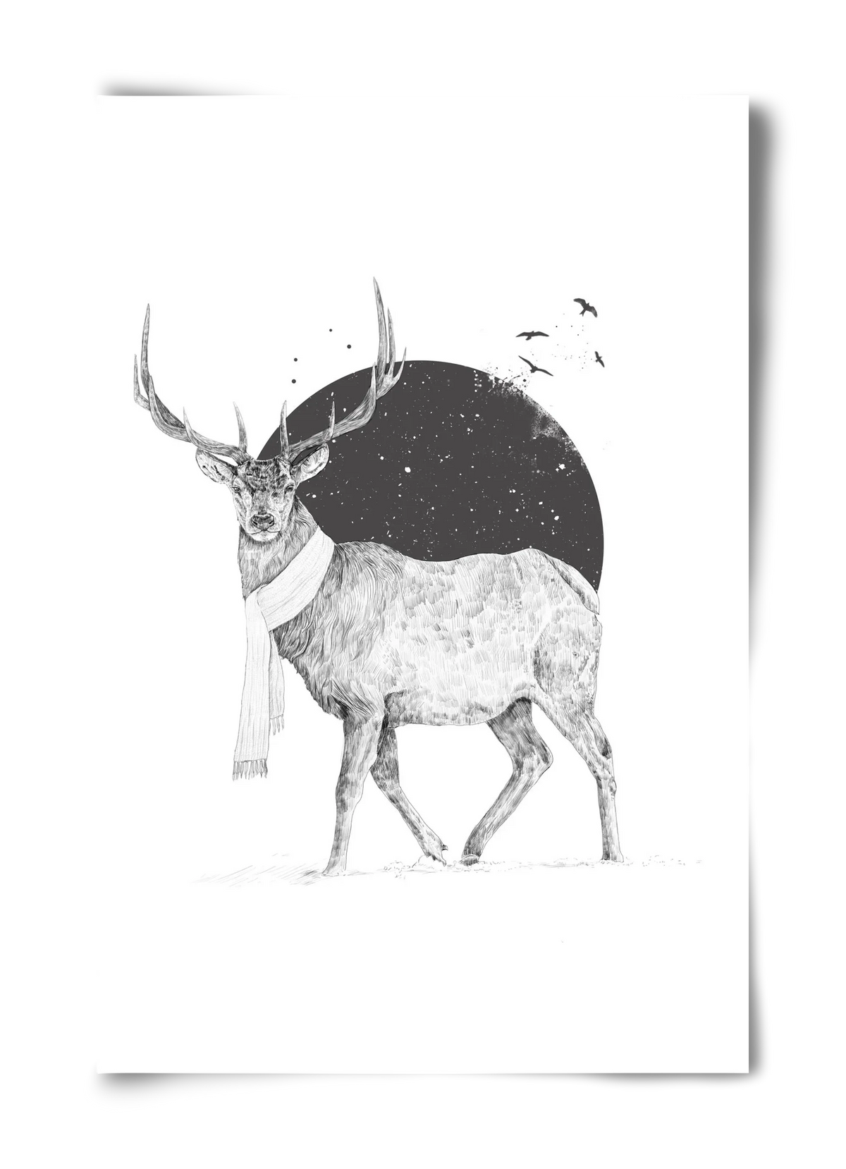 Winter is all around - artbridge