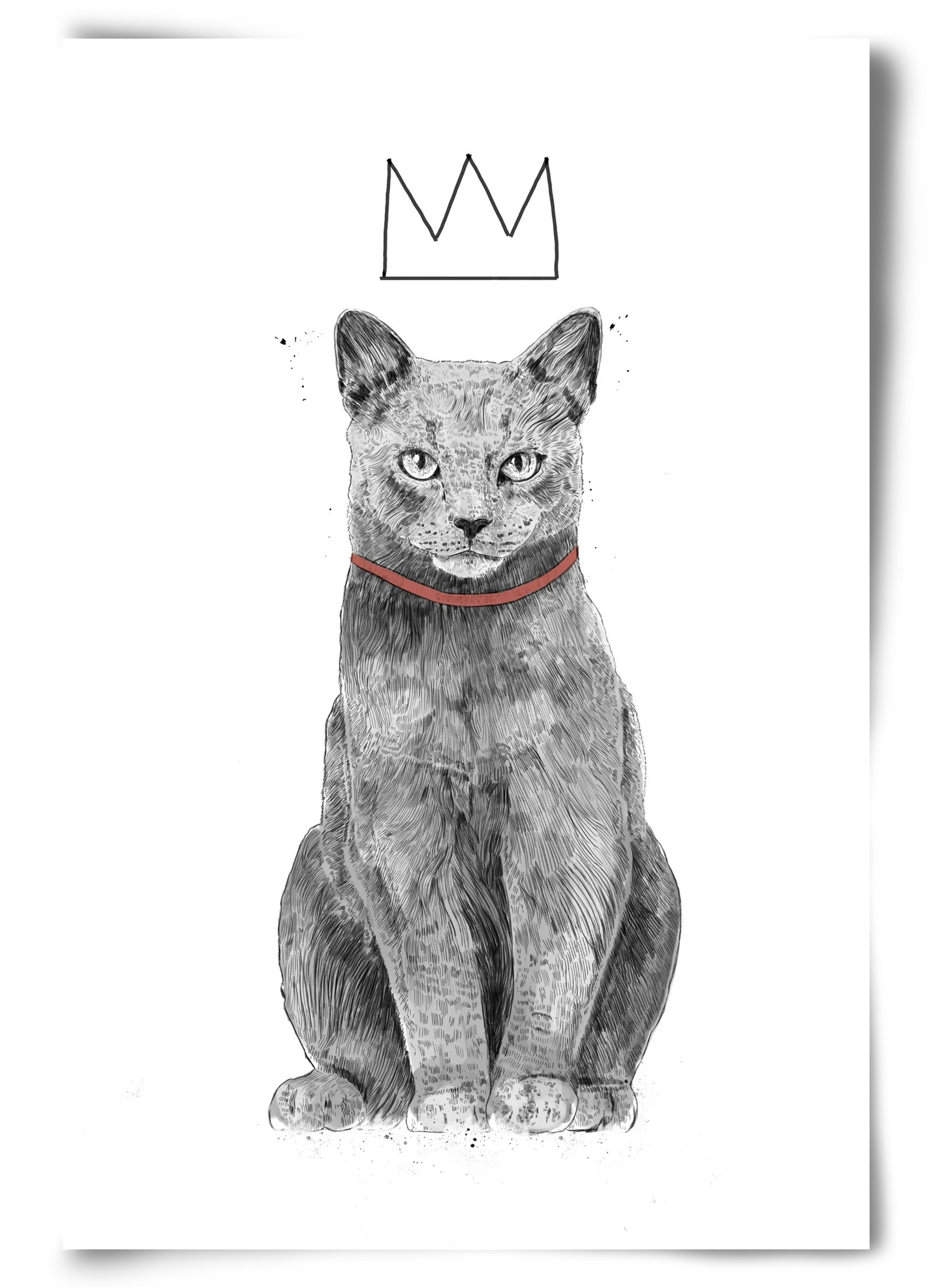 King Of Everything - artbridge