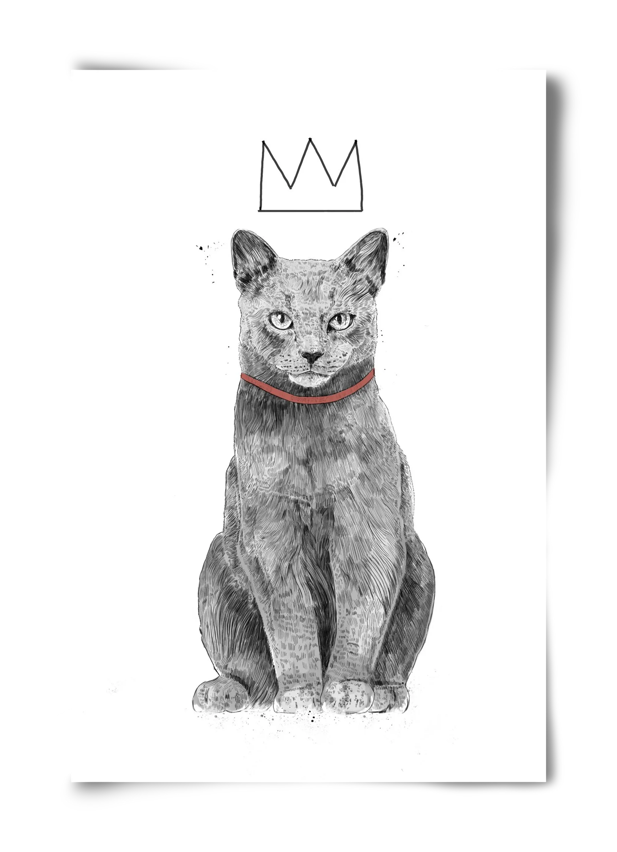 King Of Everything - artbridge
