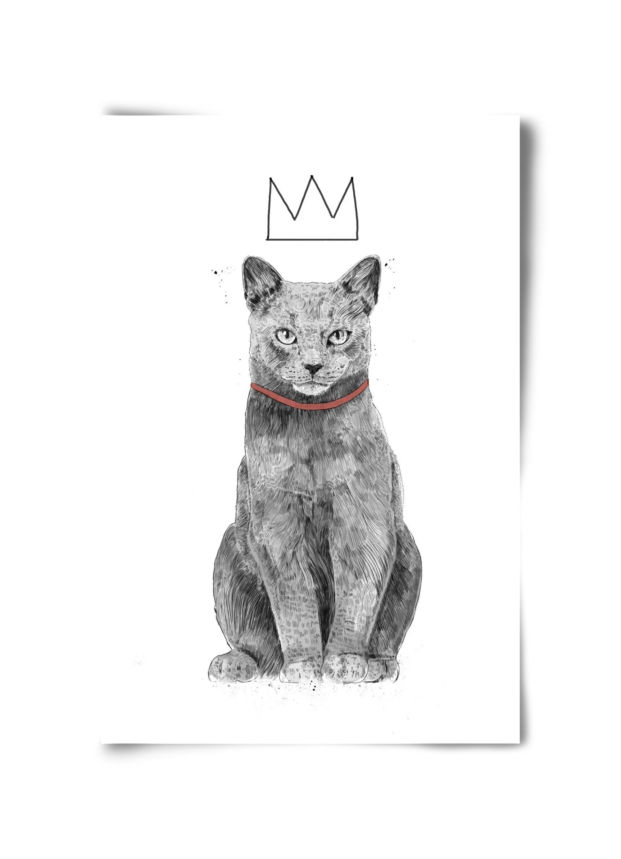 King Of Everything - artbridge