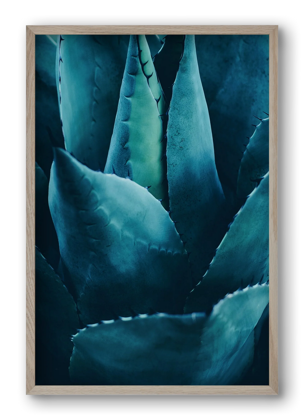 Cactus no. 4 - artbridge