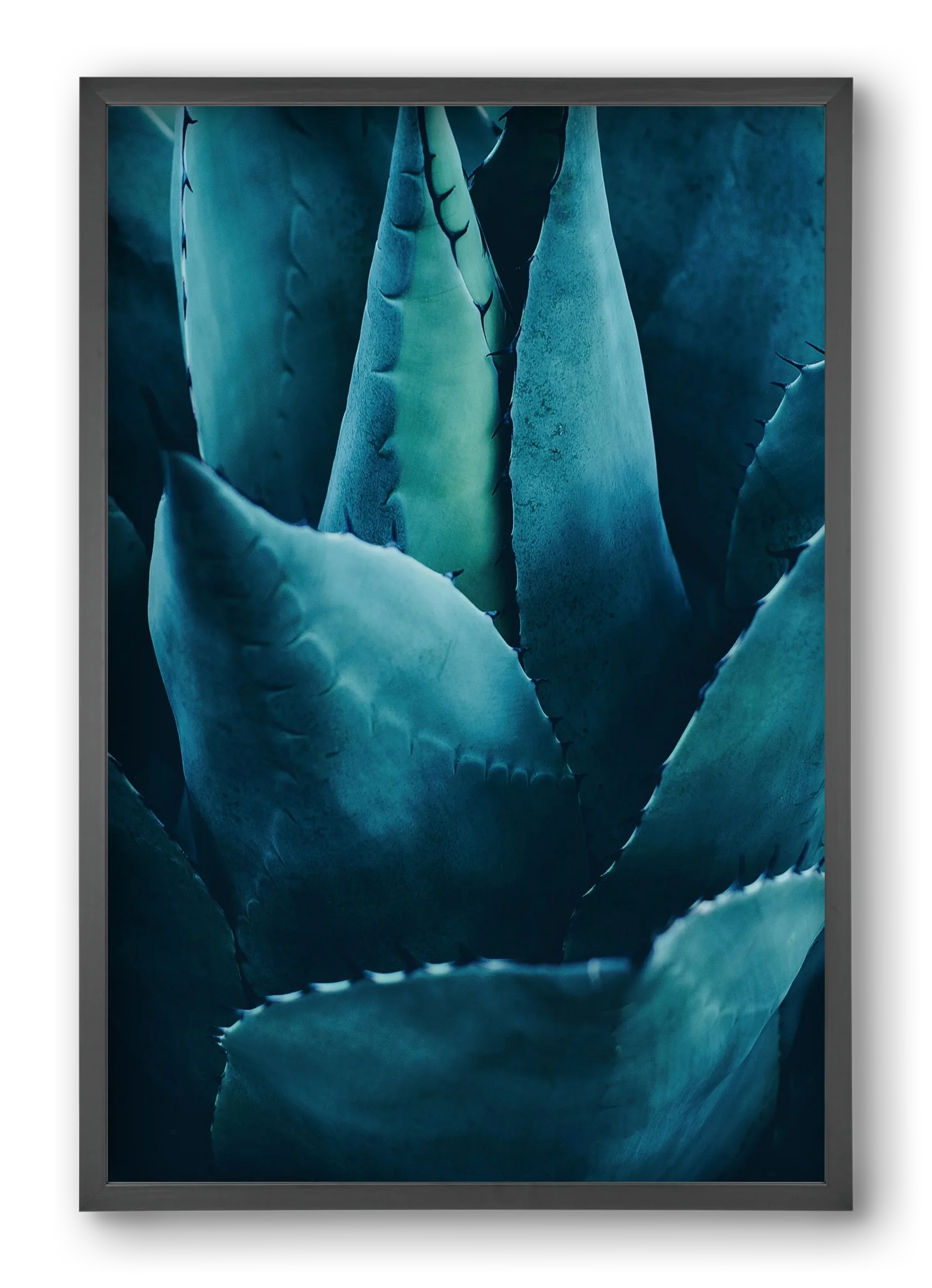 Cactus no. 4 - artbridge