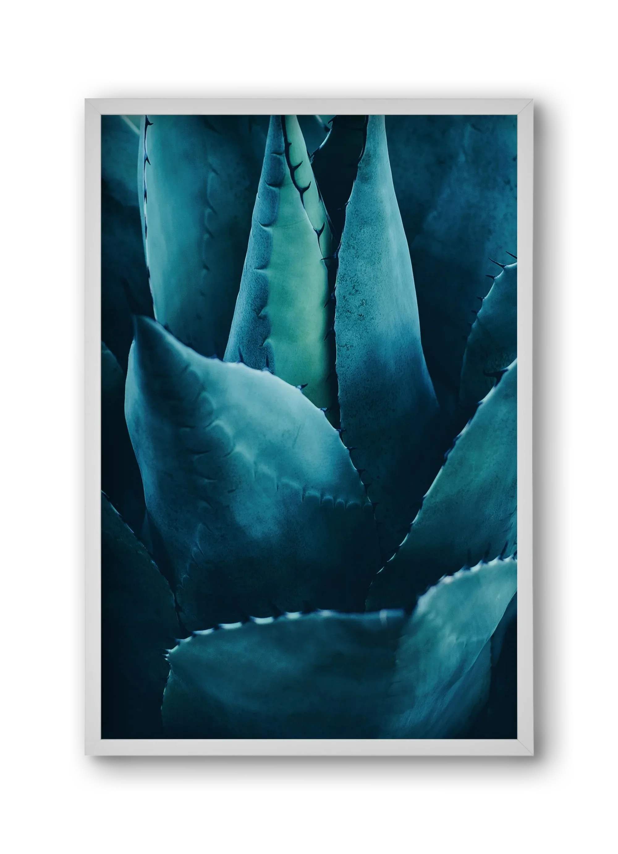 Cactus no. 4 - artbridge