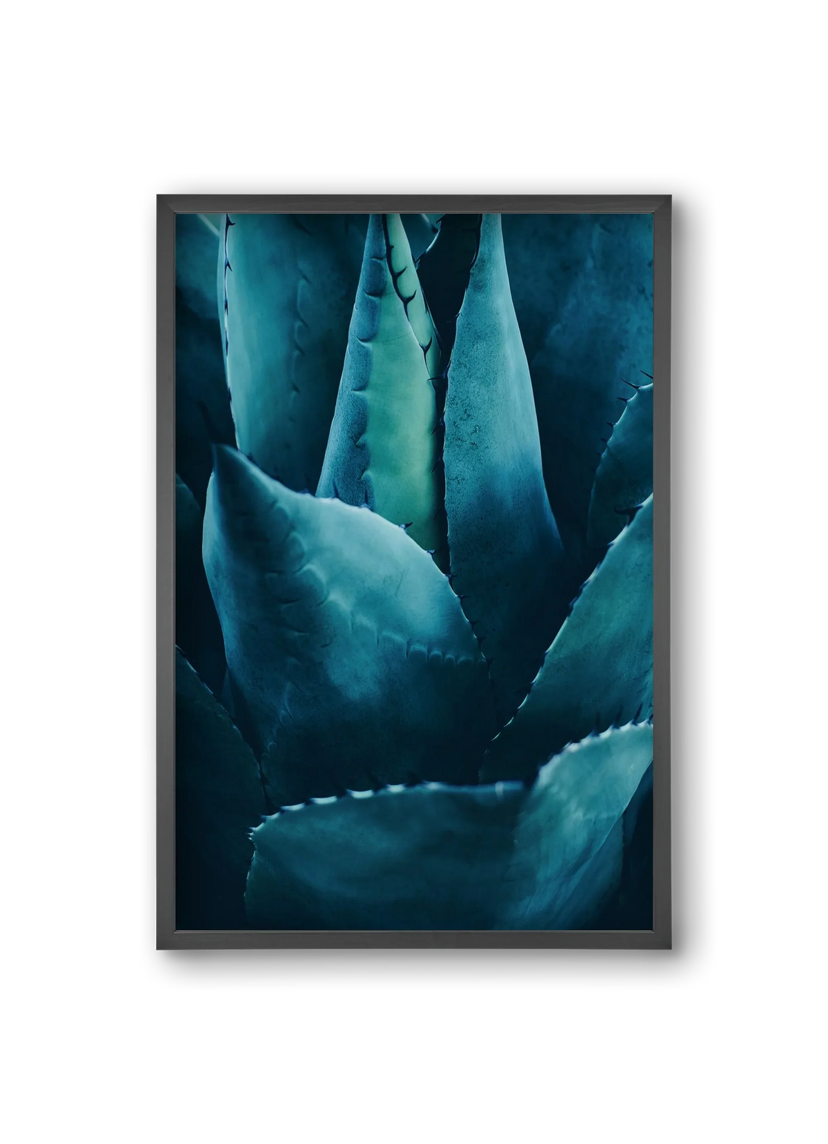 Cactus no. 4 - artbridge