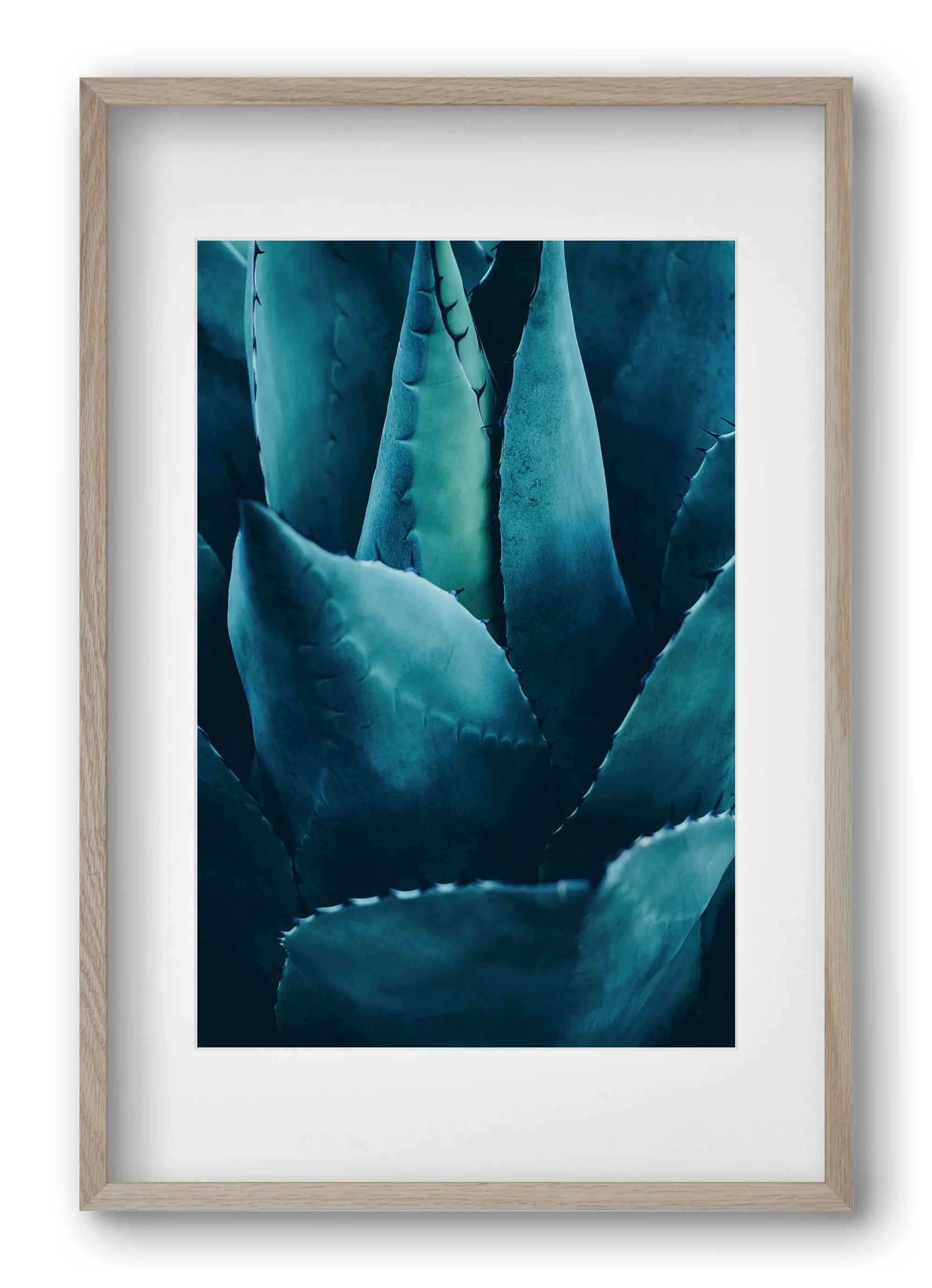Cactus no. 4 - artbridge